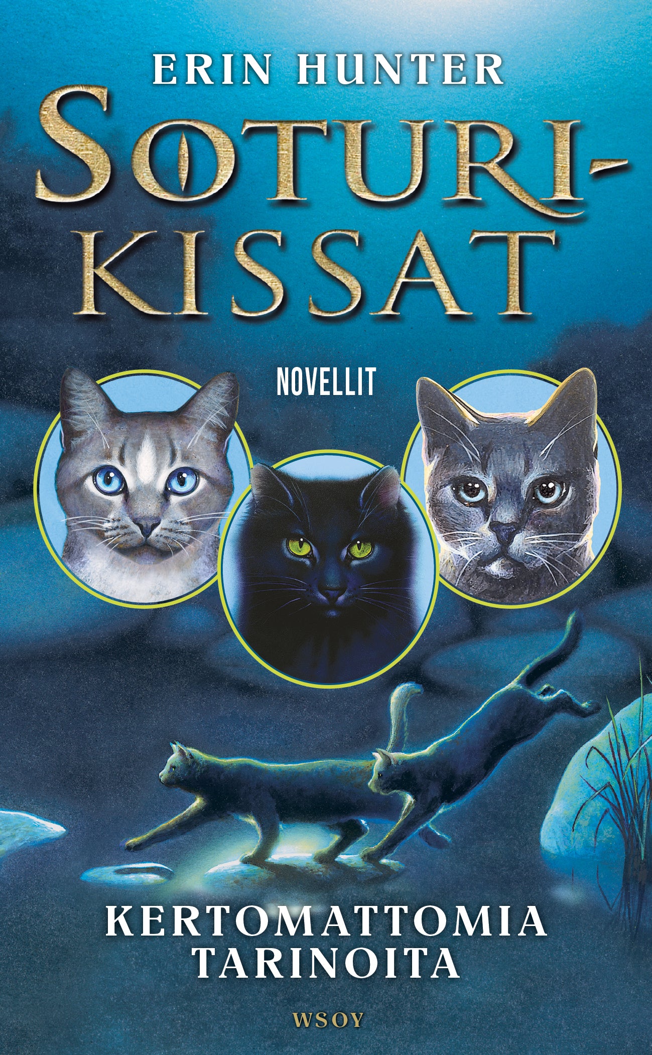 Soturikissat: Kertomattomia tarinoita – E-bok