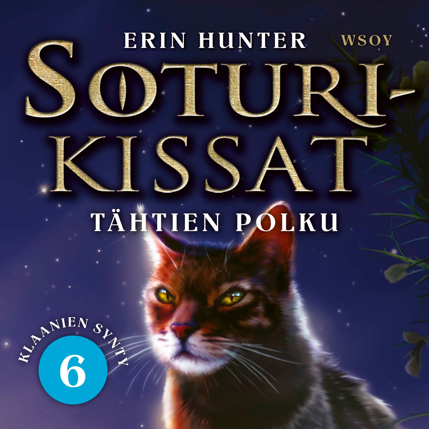 Soturikissat: Klaanien synty 6: Tähtien polku – Ljudbok