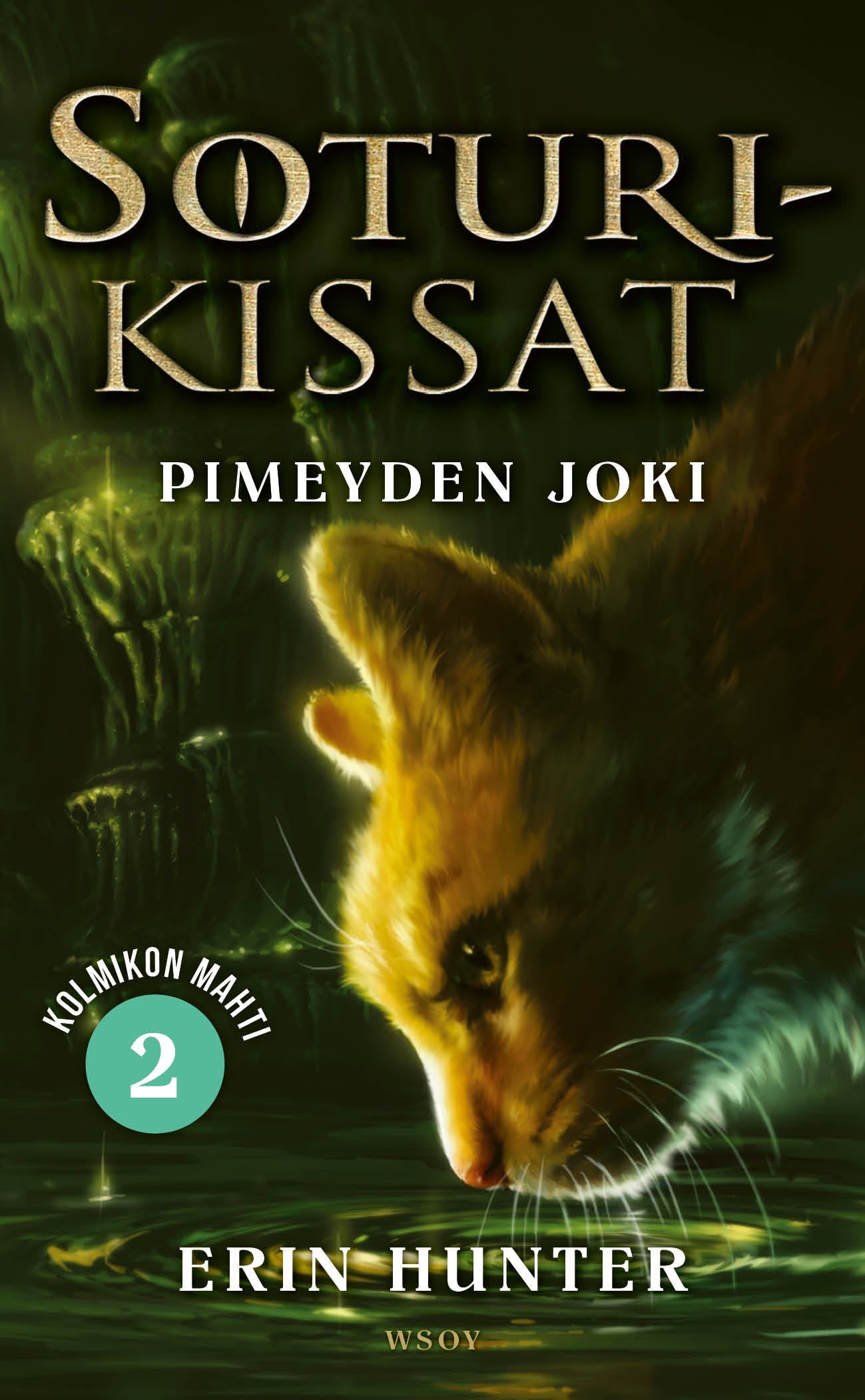 Soturikissat: Kolmikon mahti 2: Pimeyden joki – E-bok