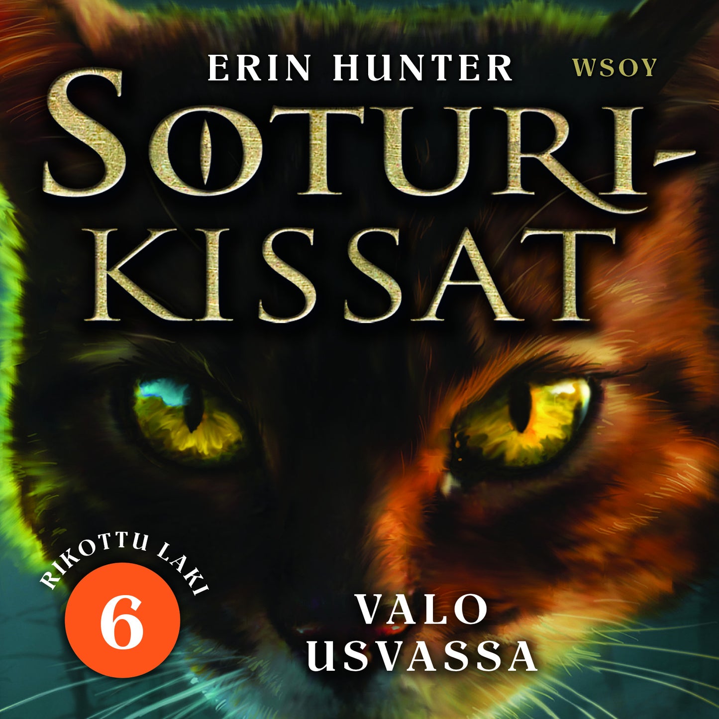 Soturikissat: Rikottu laki 6: Valo usvassa – Ljudbok
