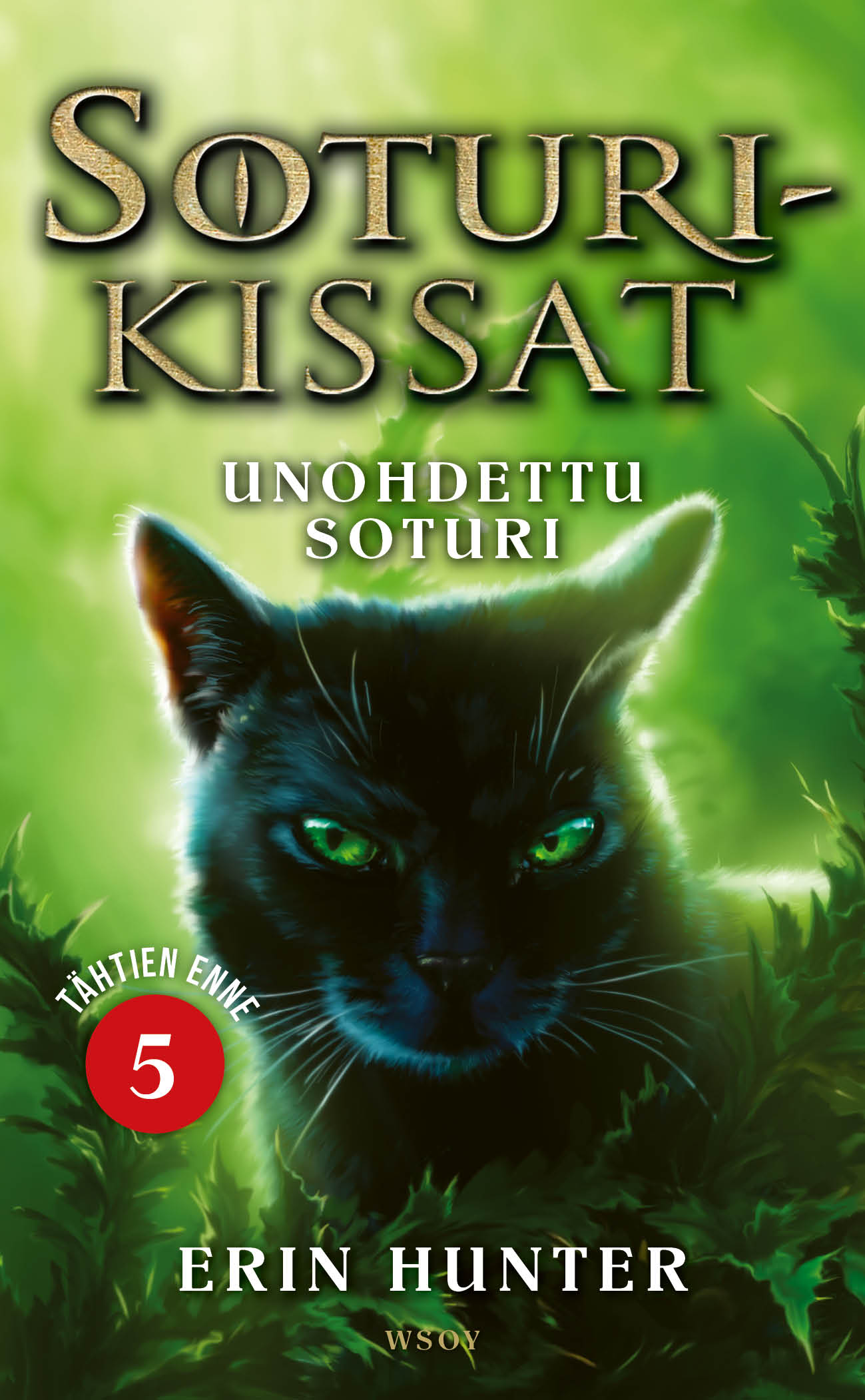 Soturikissat: Tähtien enne 5: Unohdettu soturi – E-bok