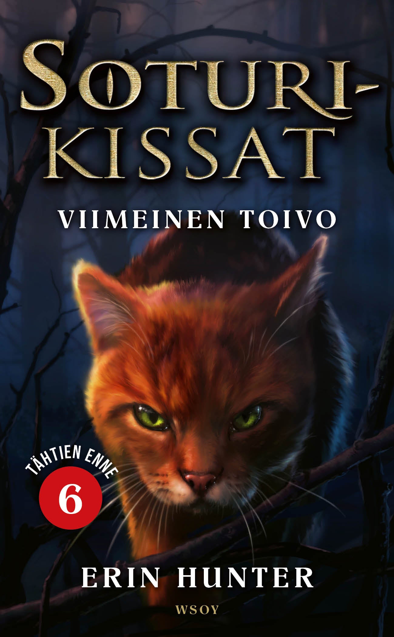 Soturikissat: Tähtien enne 6: Viimeinen toivo – E-bok