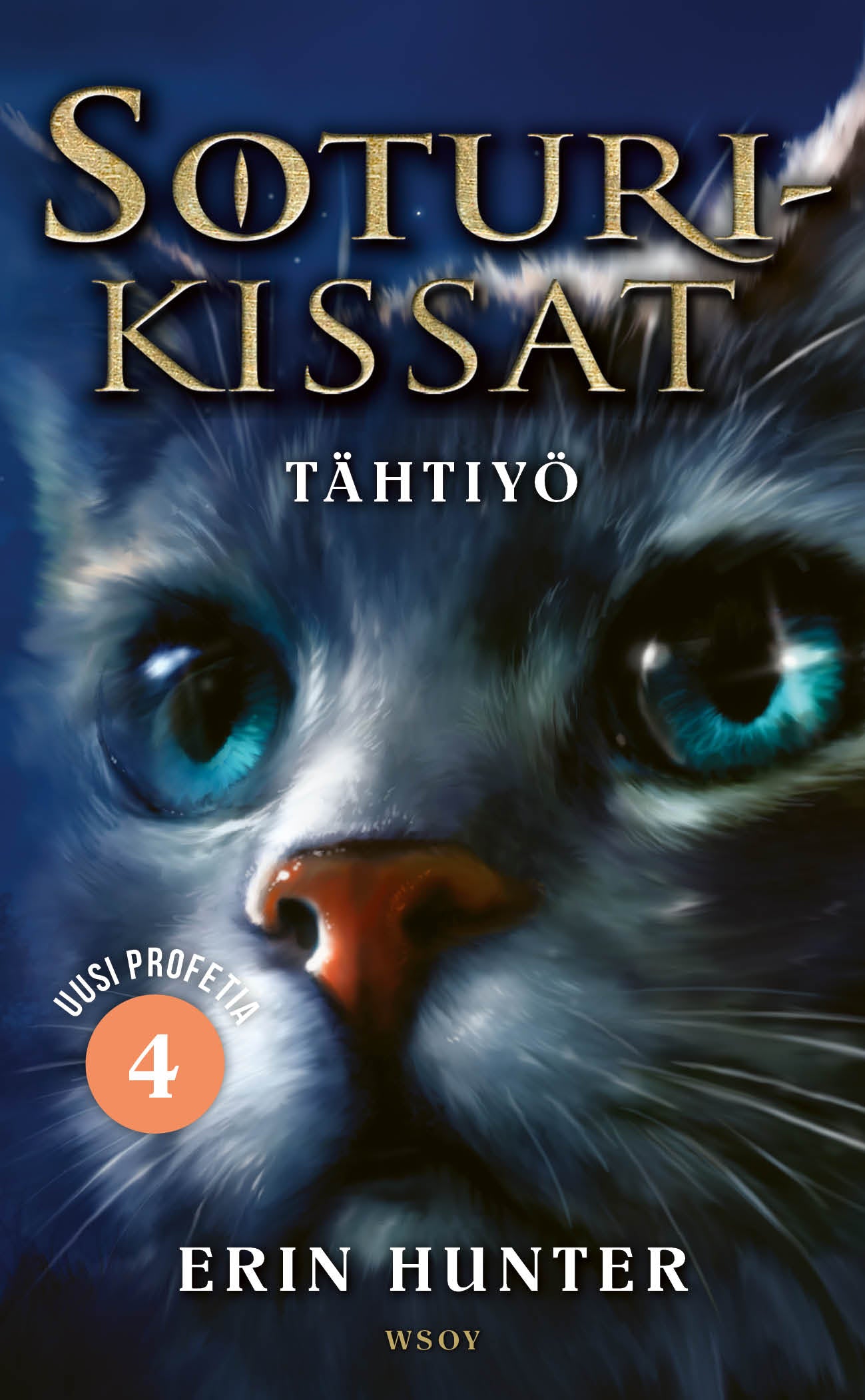 Soturikissat: Uusi profetia 4: Tähtiyö – E-bok