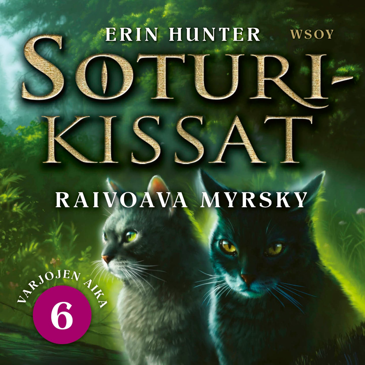 Soturikissat: Varjojen aika 6: Raivoava myrsky – Ljudbok