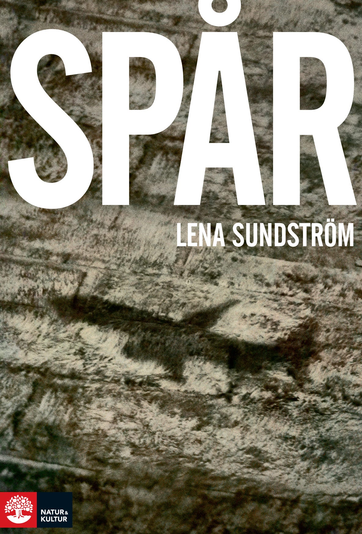 Spår – E-bok