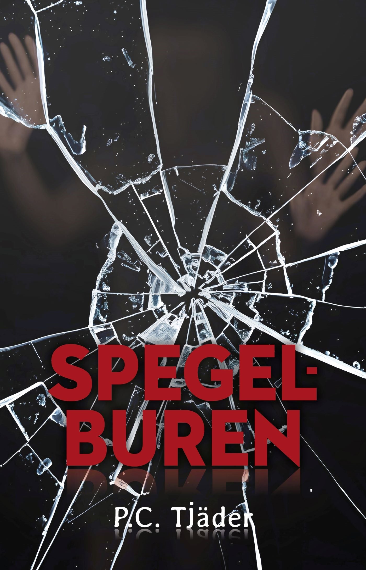 Spegelburen – E-bok