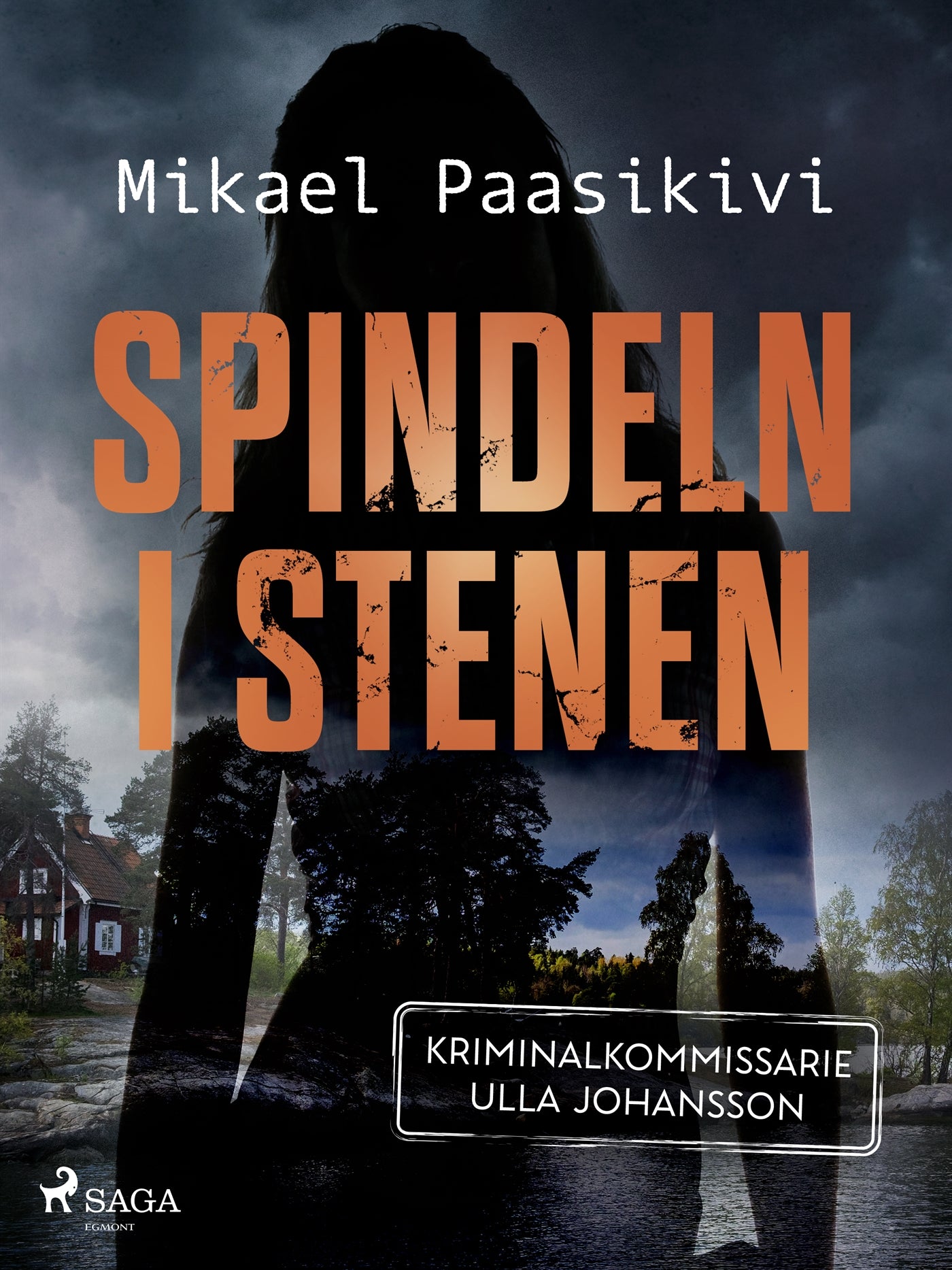 Spindeln i stenen – E-bok