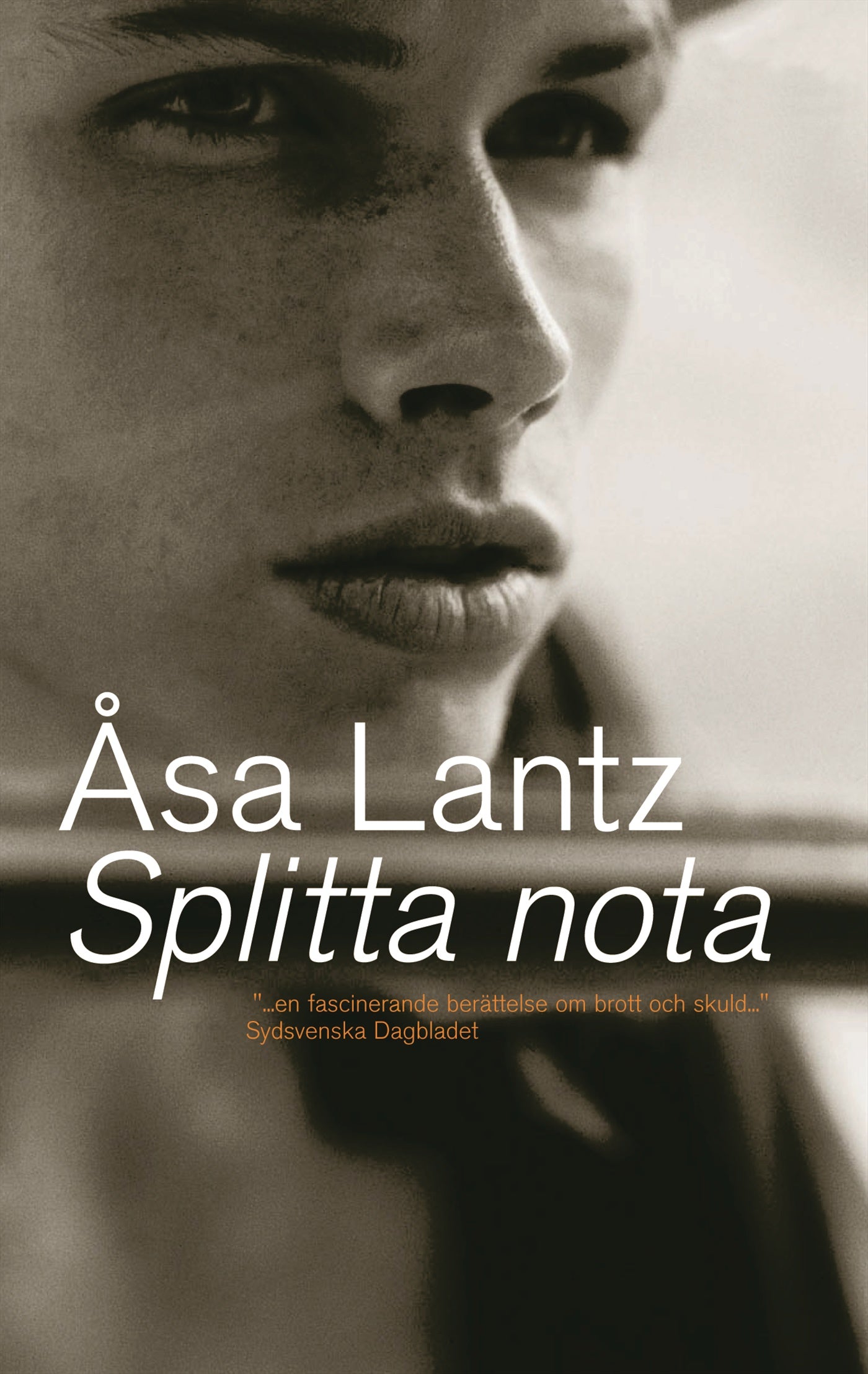 Splitta nota – E-bok
