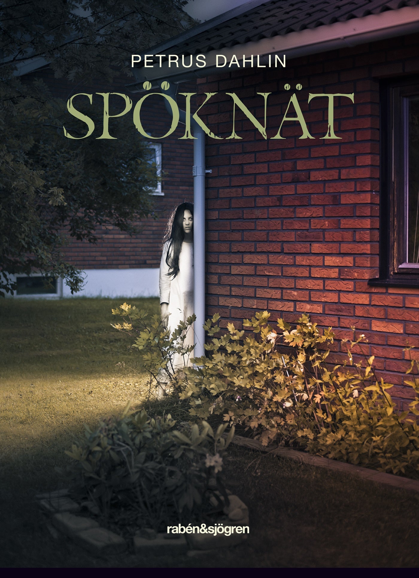 Spöknät – E-bok