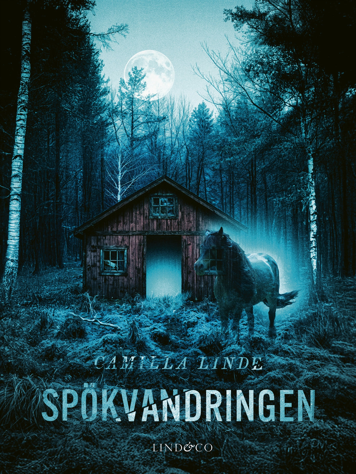 Spökvandringen – E-bok