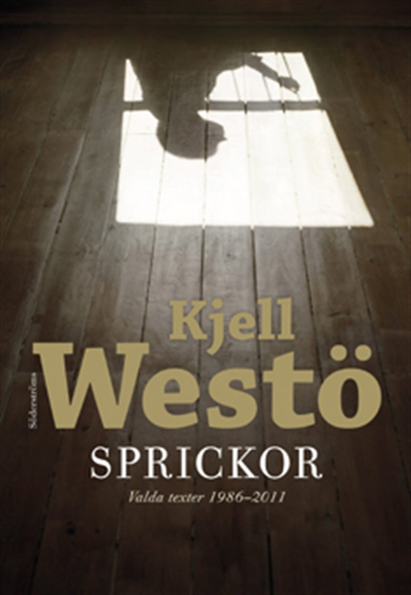 Sprickor – E-bok
