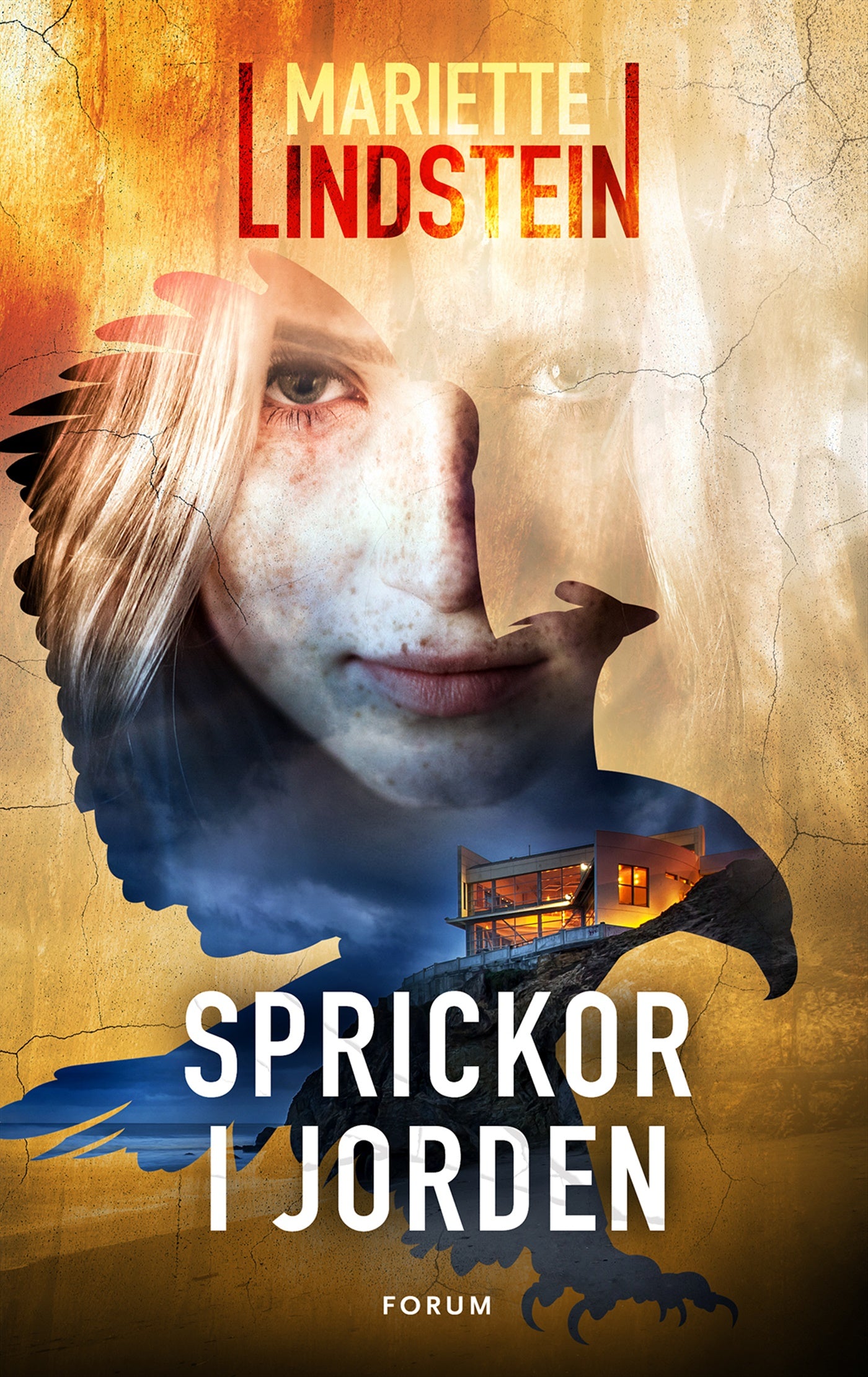 Sprickor i jorden – E-bok
