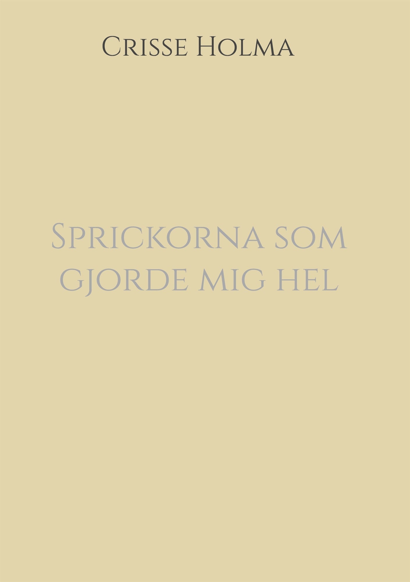 Sprickorna som gjorde mig hel – E-bok