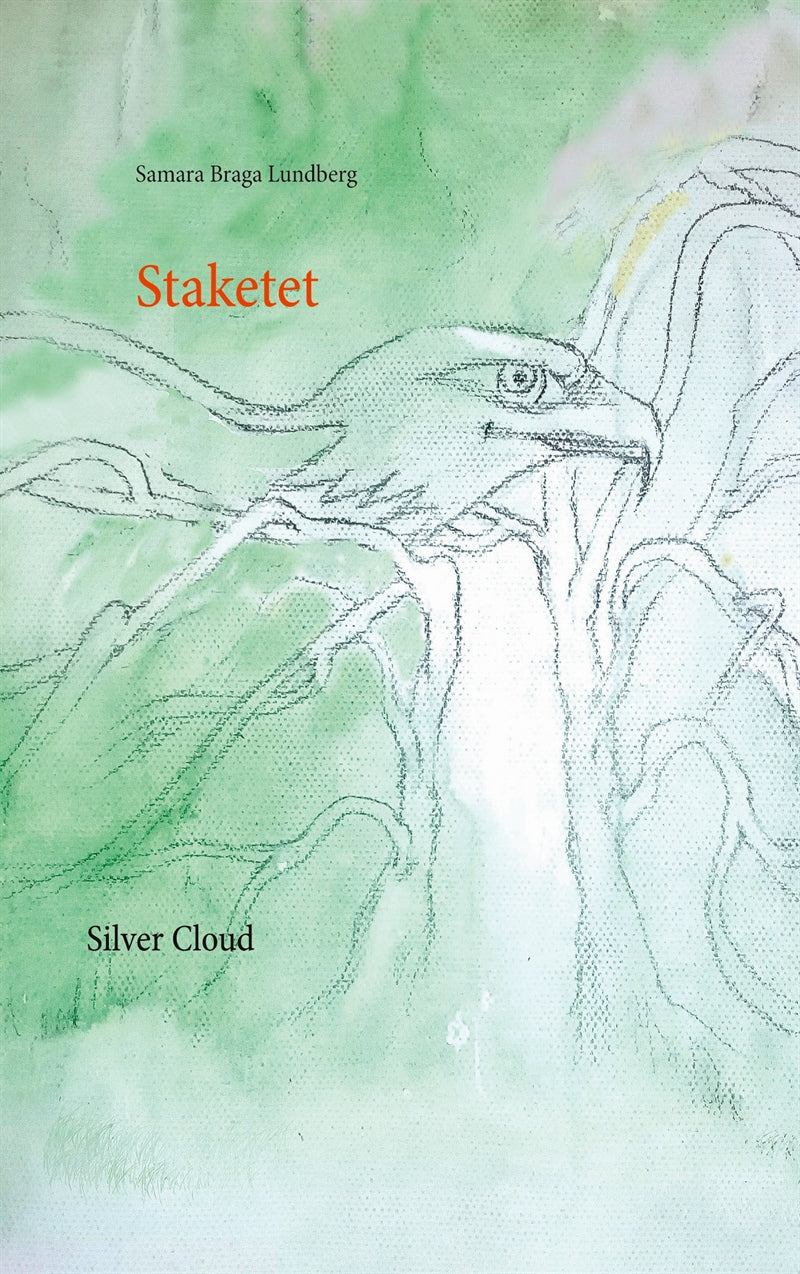 Staketet: SilverCloud – E-bok