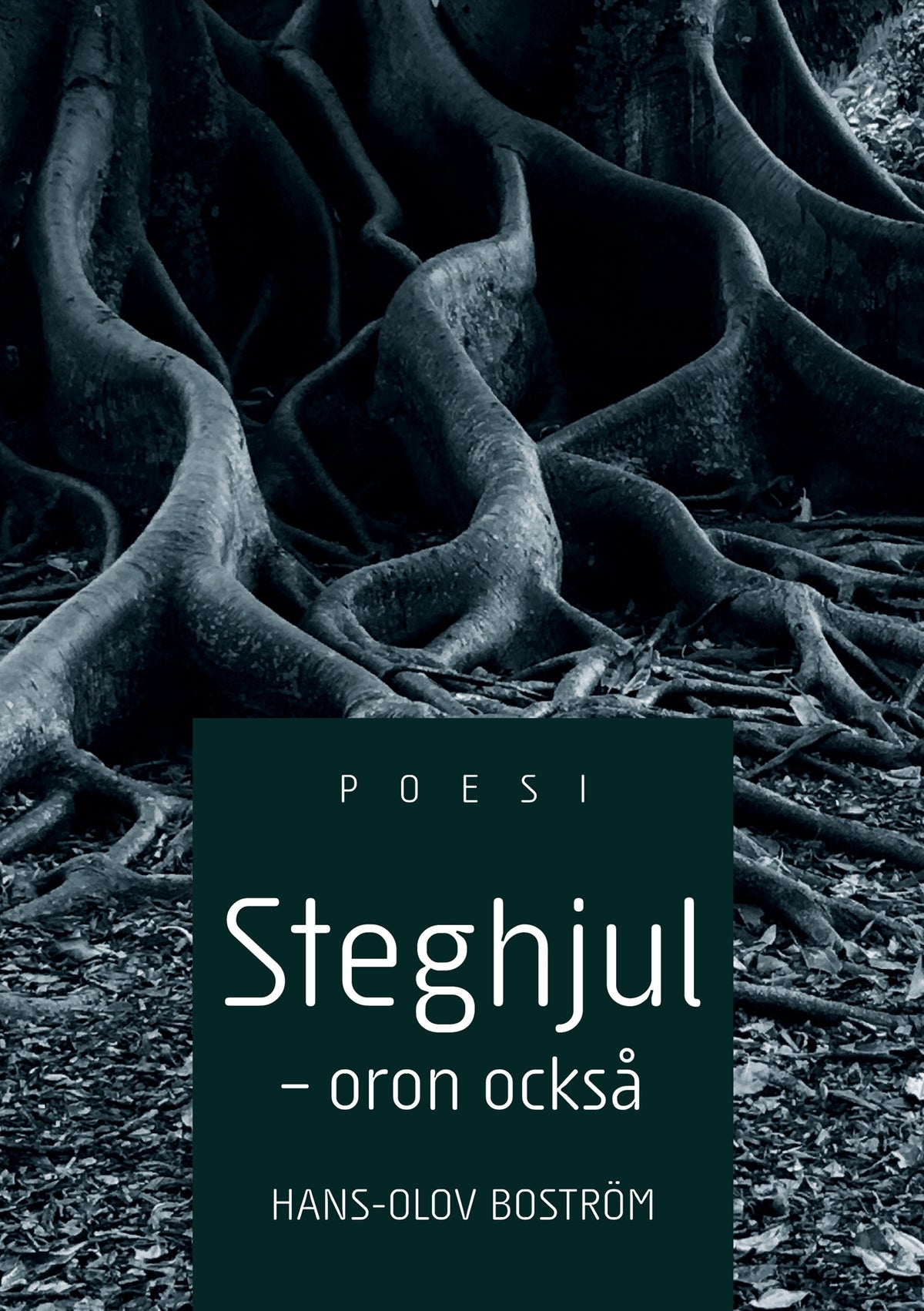 Steghjul - Oron också – E-bok