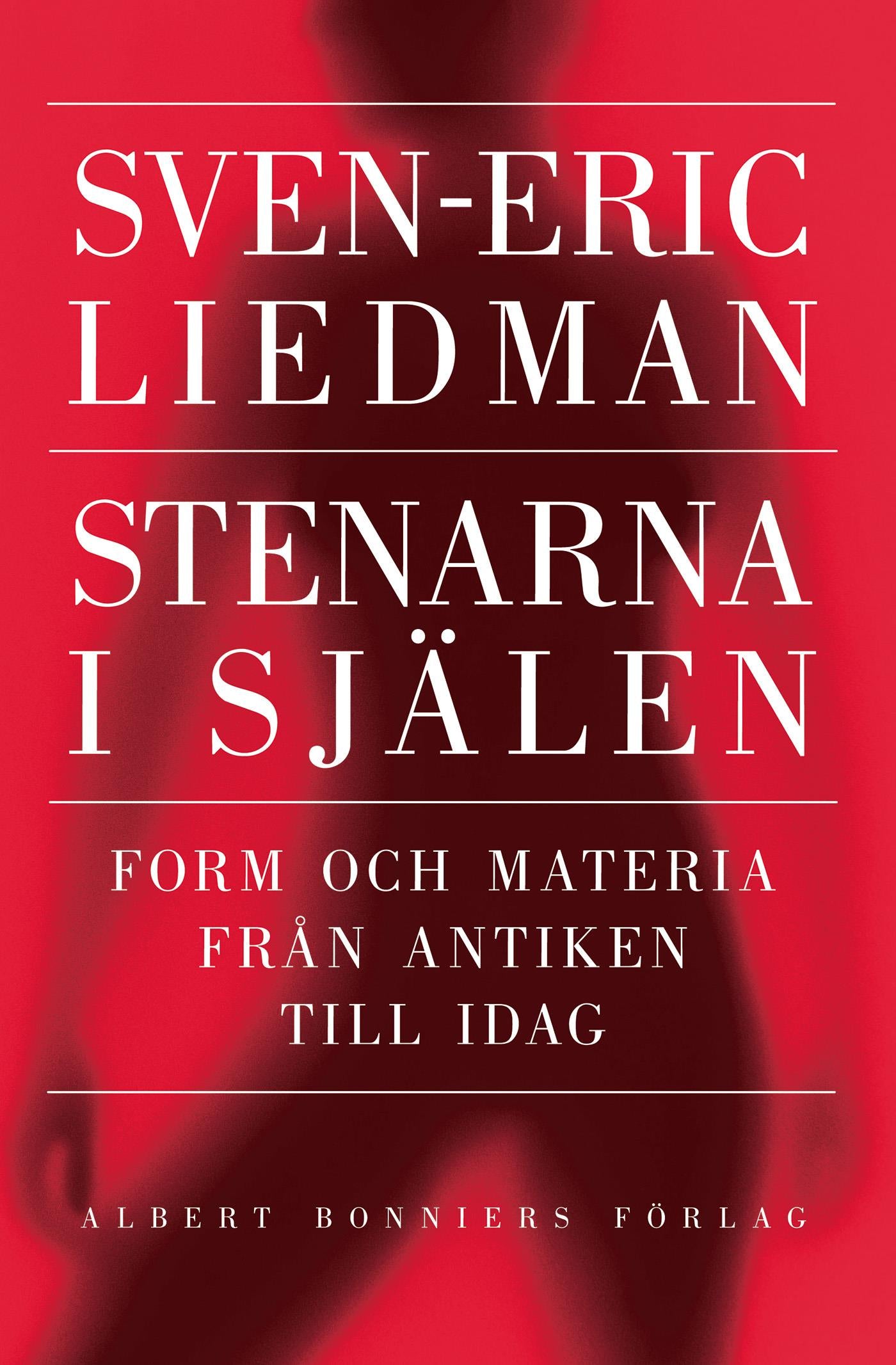 Stenarna i själen : form och materia från antiken till idag – E-bok