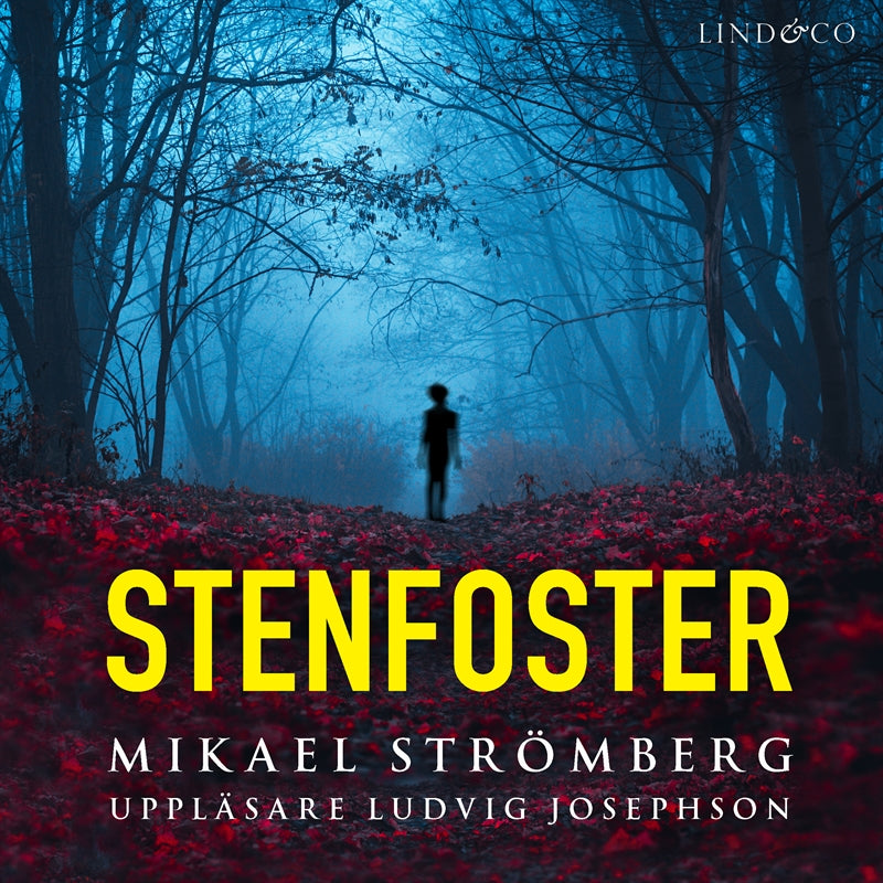 Stenfoster – Ljudbok