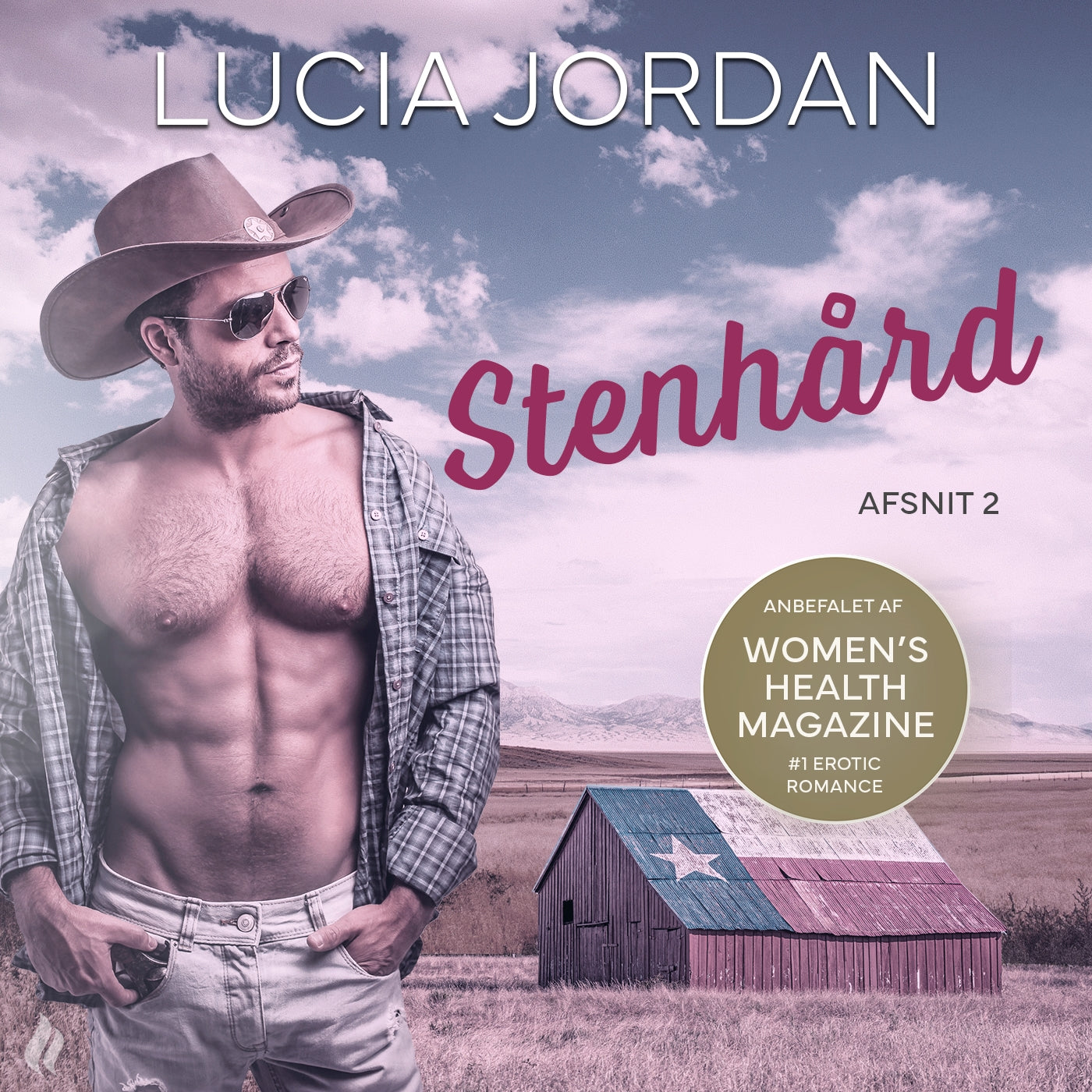Stenhård - afsnit 2 – Ljudbok