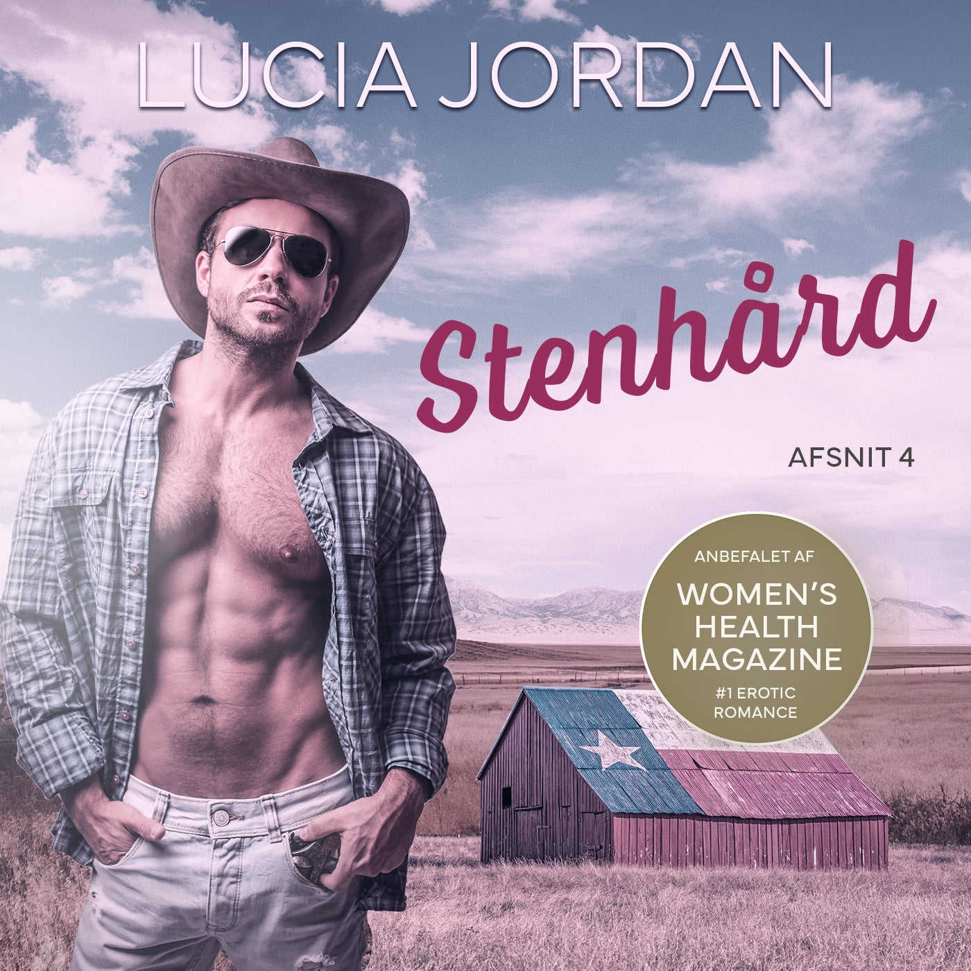 Stenhård - afsnit 4 – Ljudbok