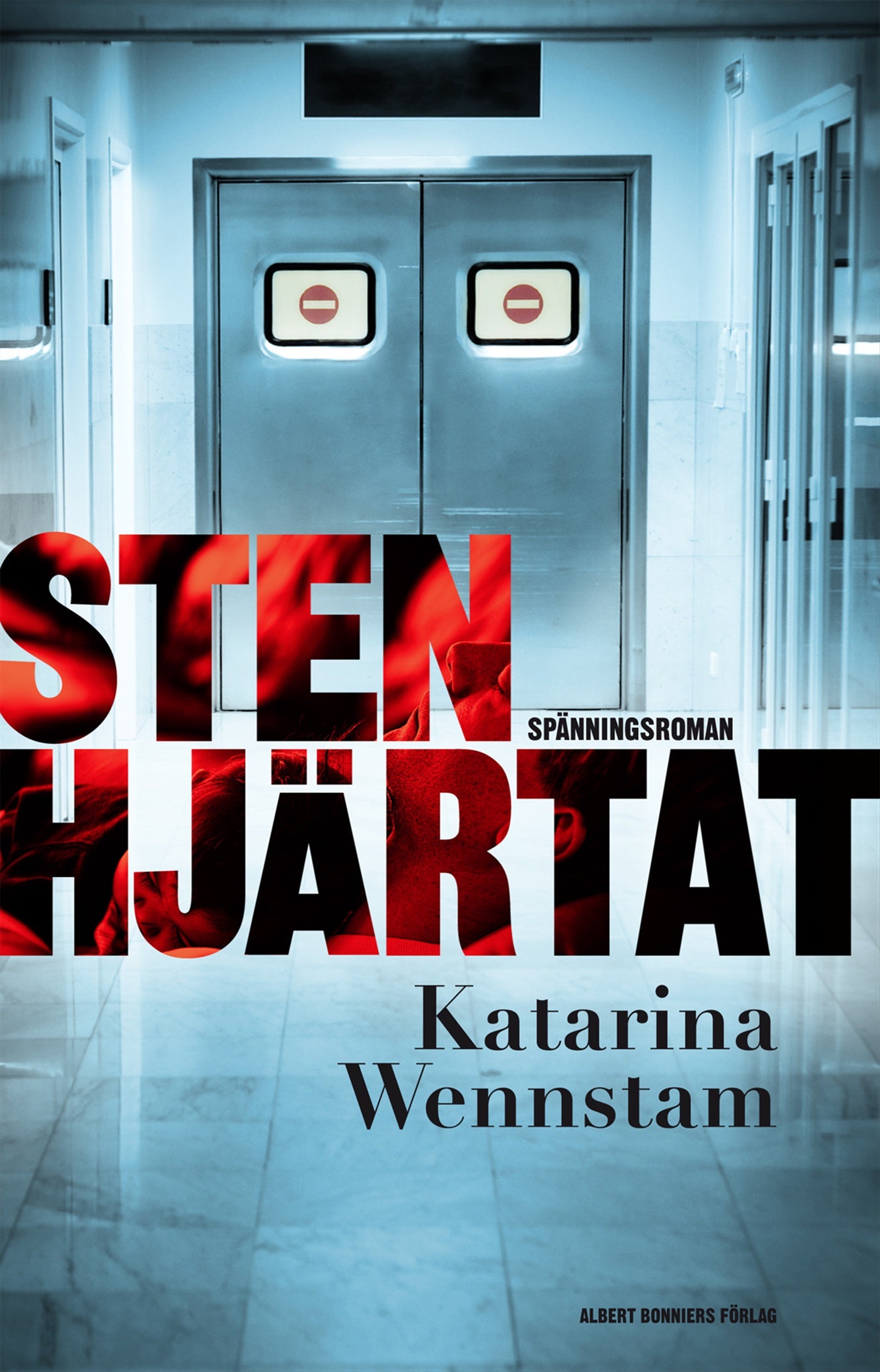 Stenhjärtat – E-bok