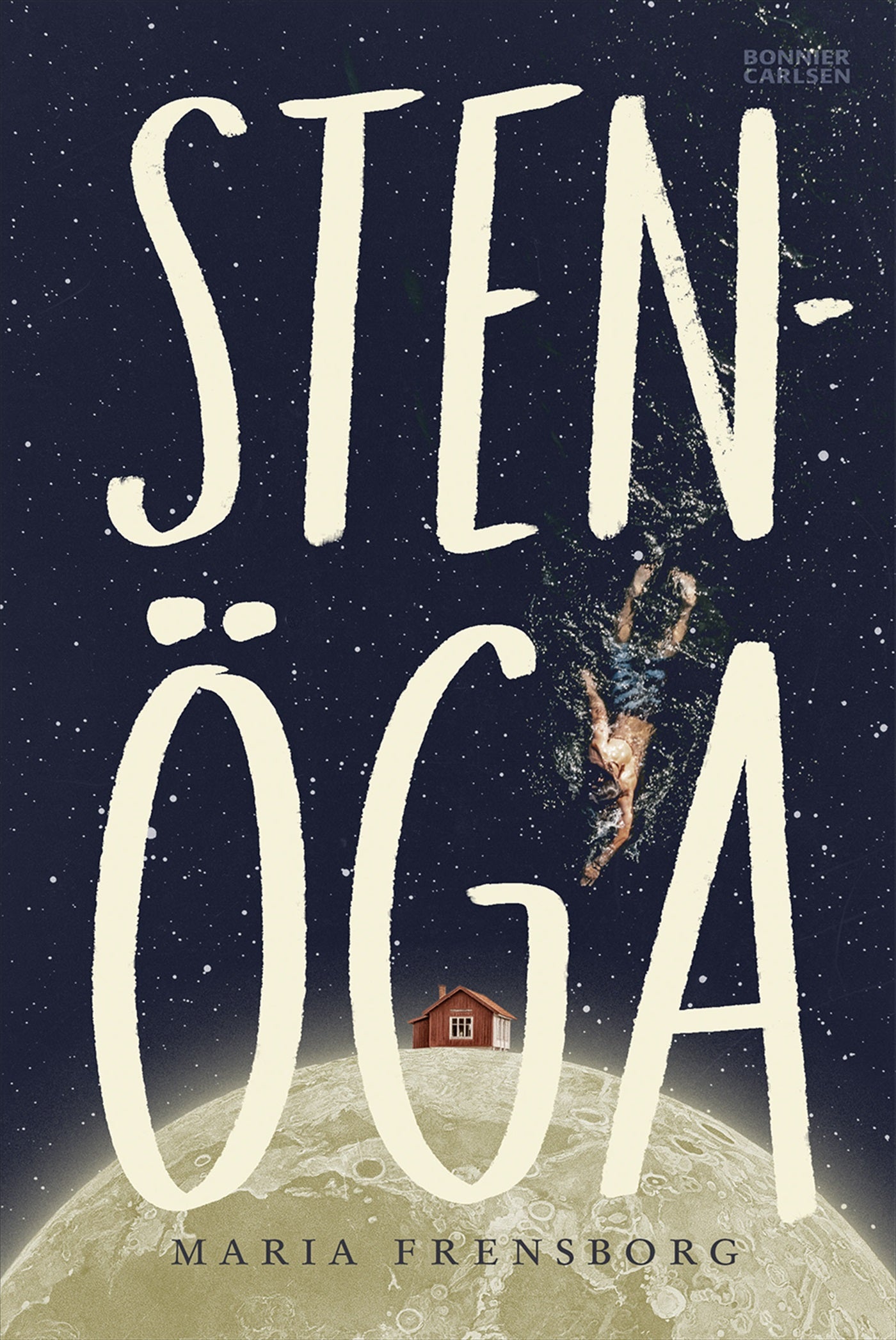 Stenöga – E-bok