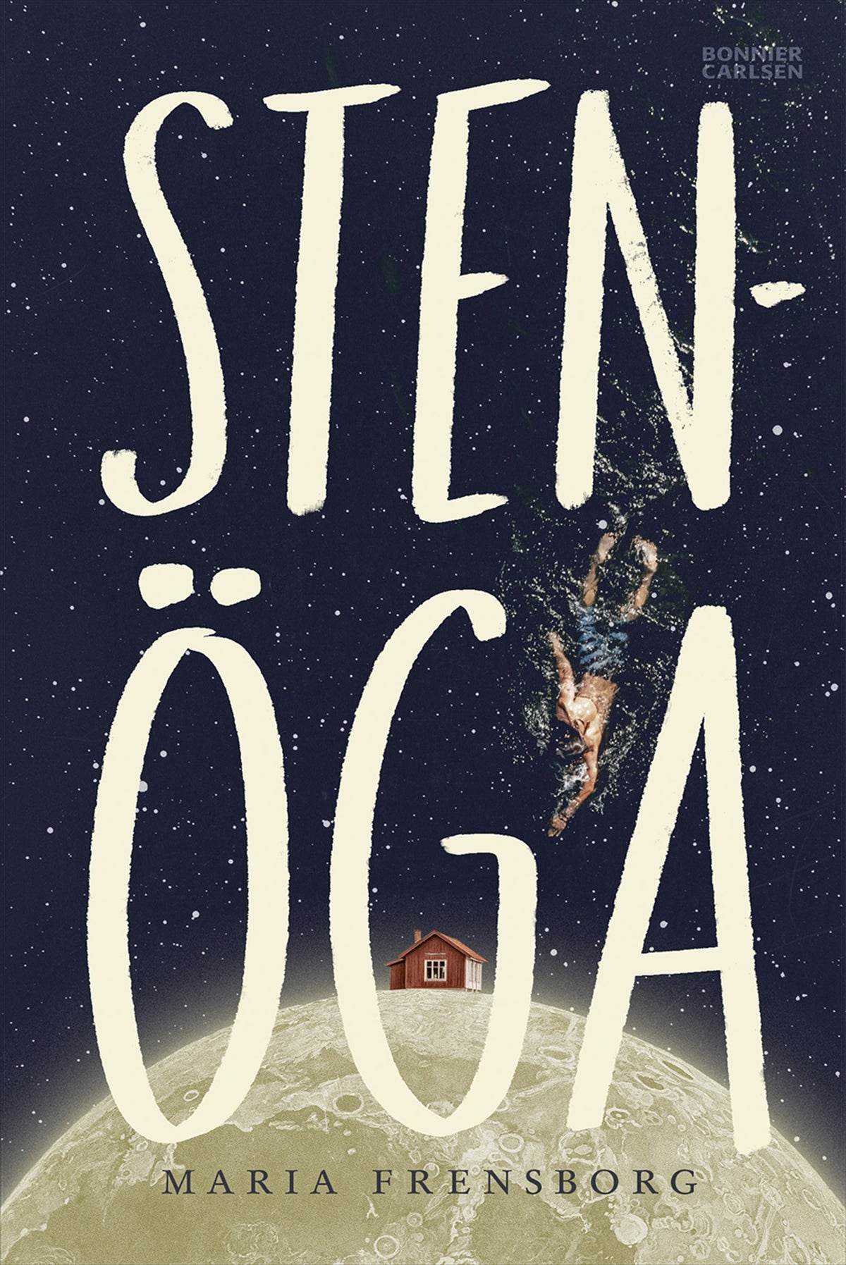 Stenöga – E-bok