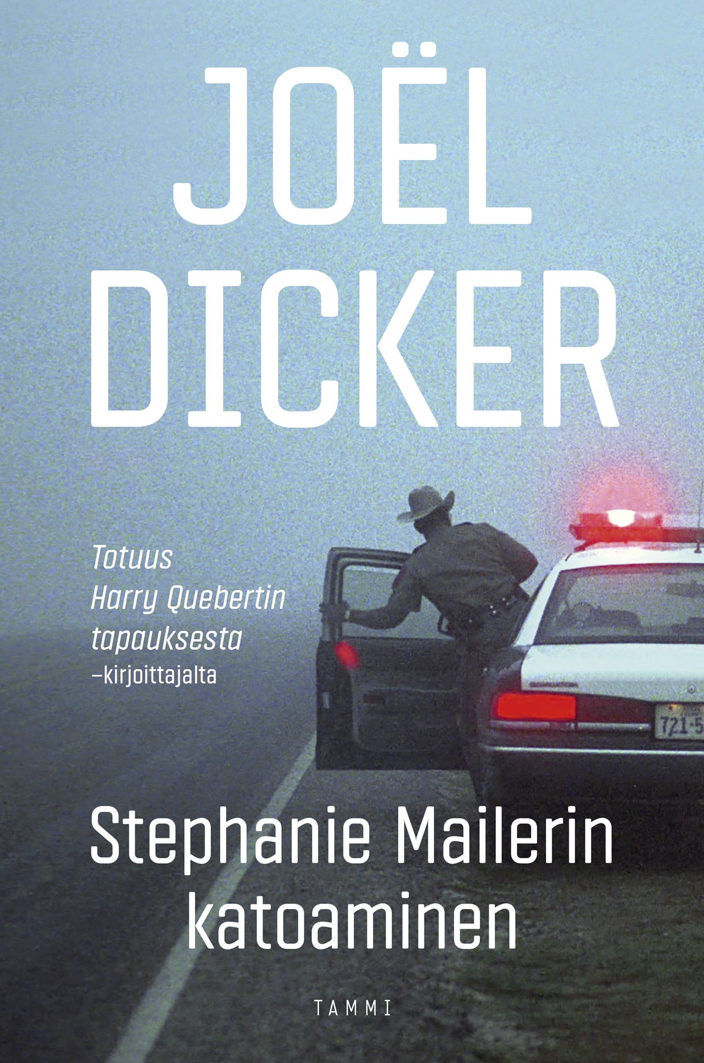 Stephanie Mailerin katoaminen – E-bok