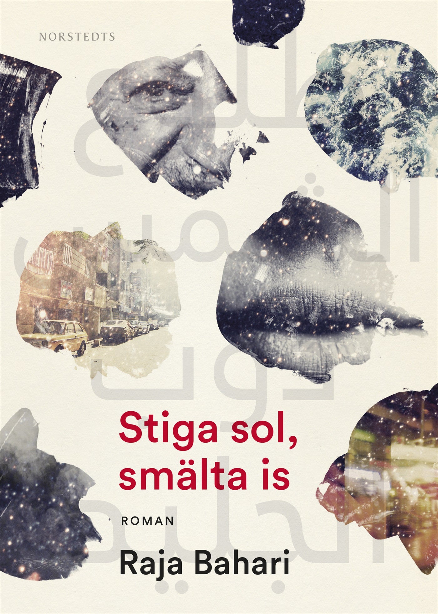 Stiga sol, smälta is – E-bok