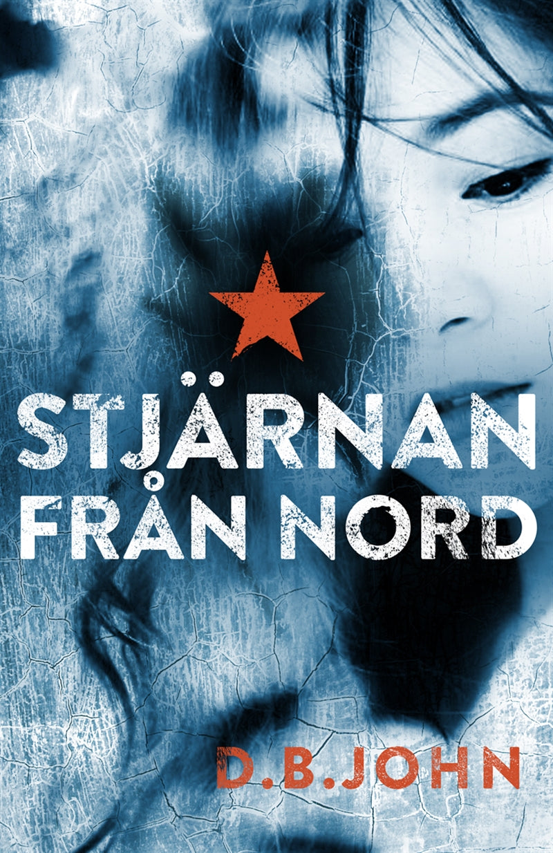 Stjärnan från Nord – E-bok