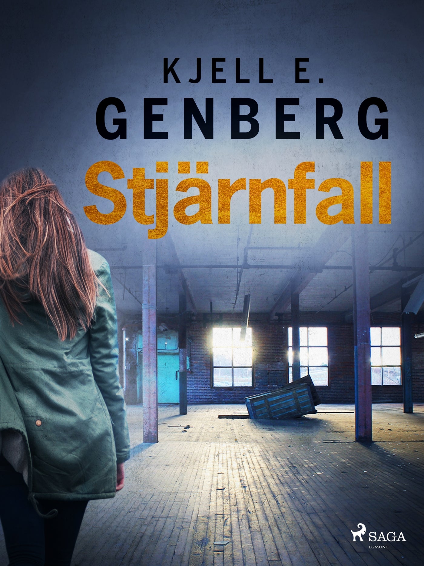 Stjärnfall – E-bok
