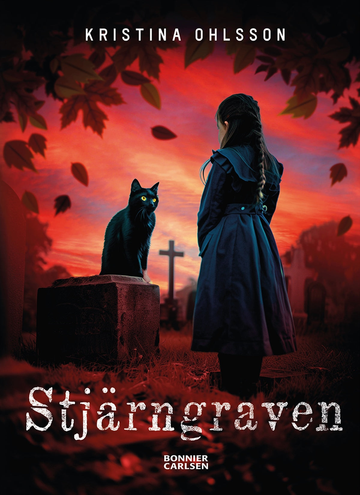 Stjärngraven – E-bok
