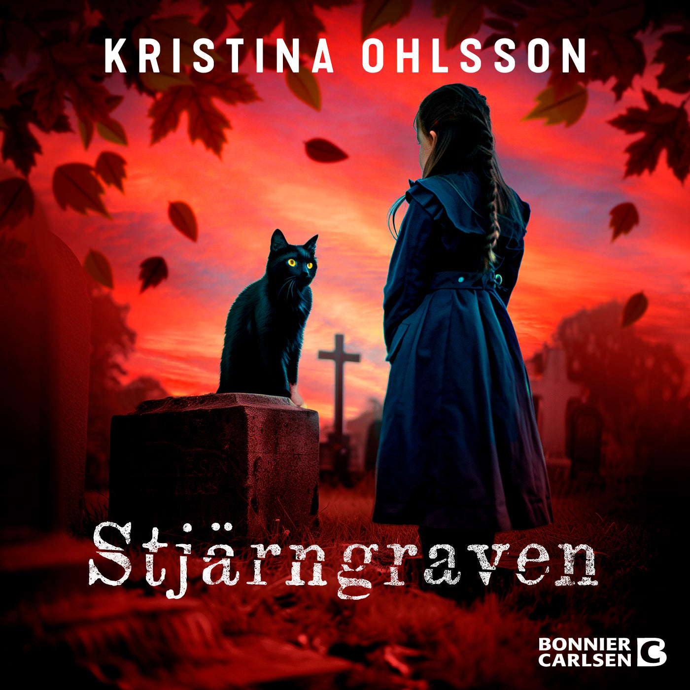 Stjärngraven – Ljudbok