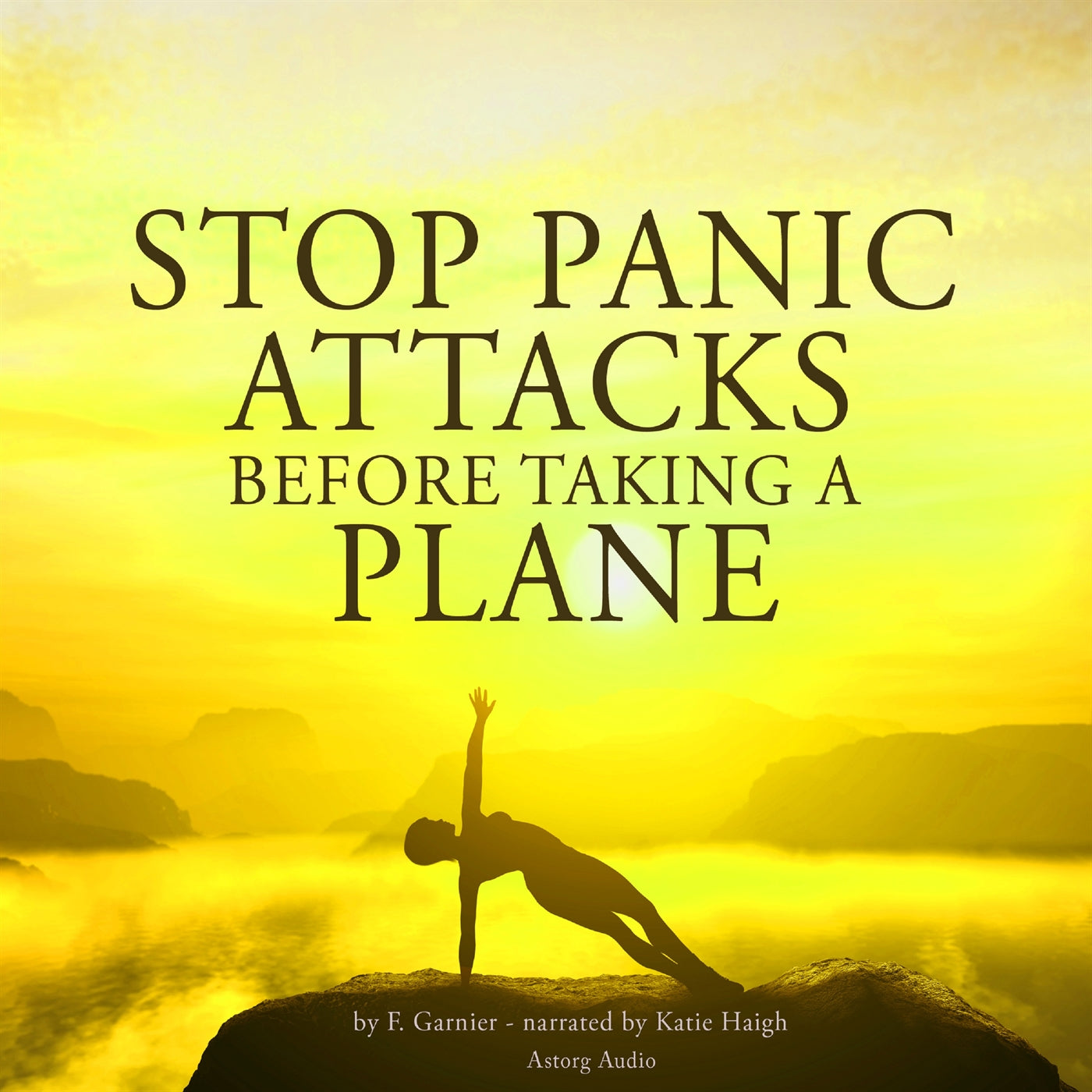 Stop Panic Attacks Before Taking a Plane – Ljudbok