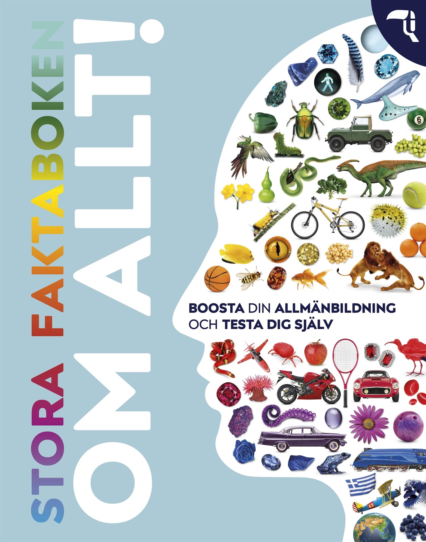 Stora faktaboken om allt! – E-bok