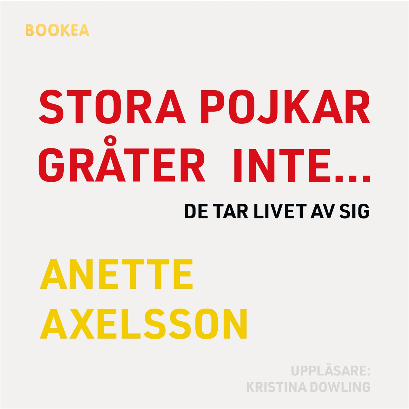 Stora pojkar gråter inte... de tar livet av sig – Ljudbok
