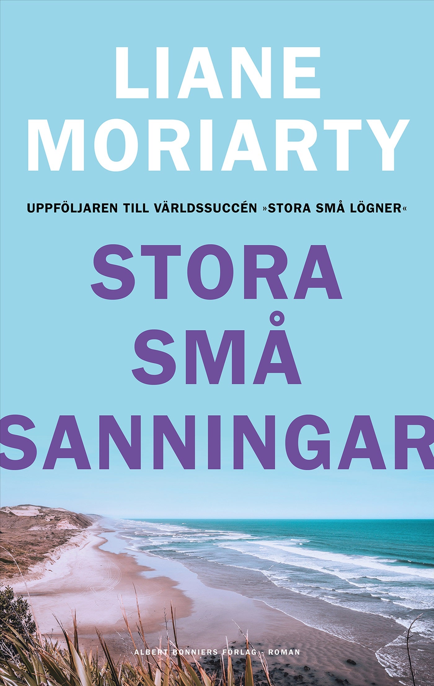 Stora små sanningar – E-bok