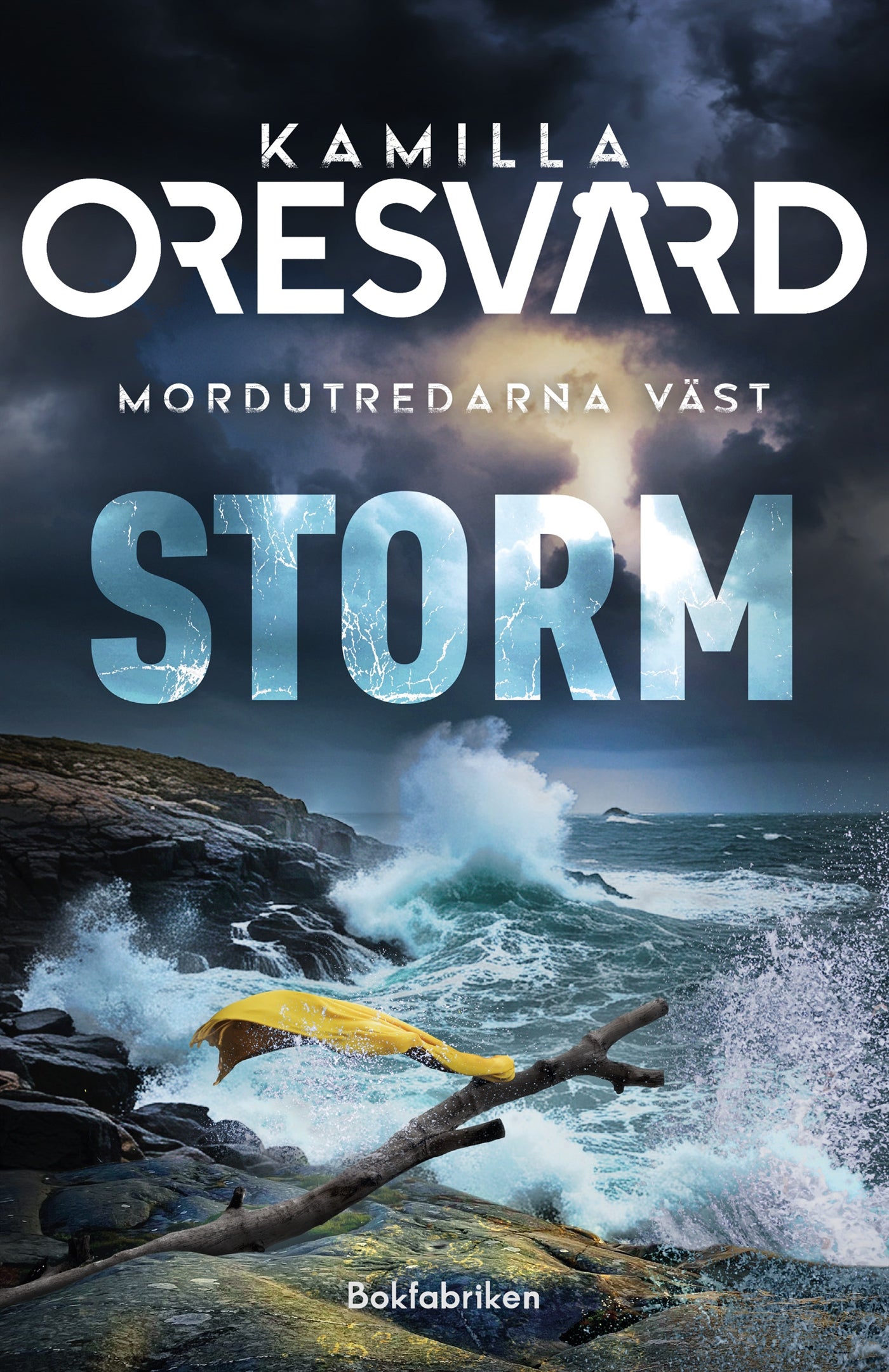 Storm – E-bok