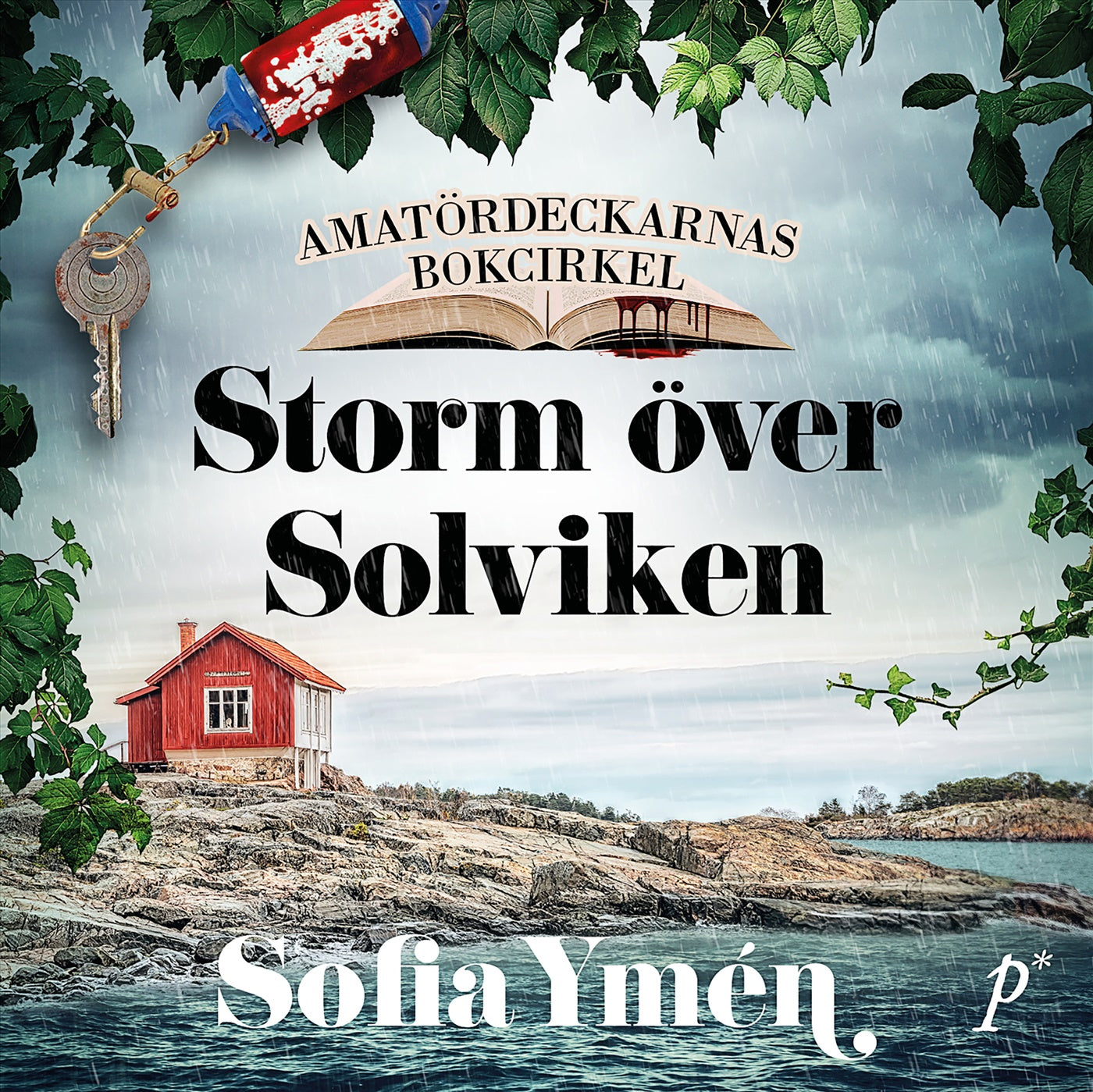 Storm över Solviken – Ljudbok
