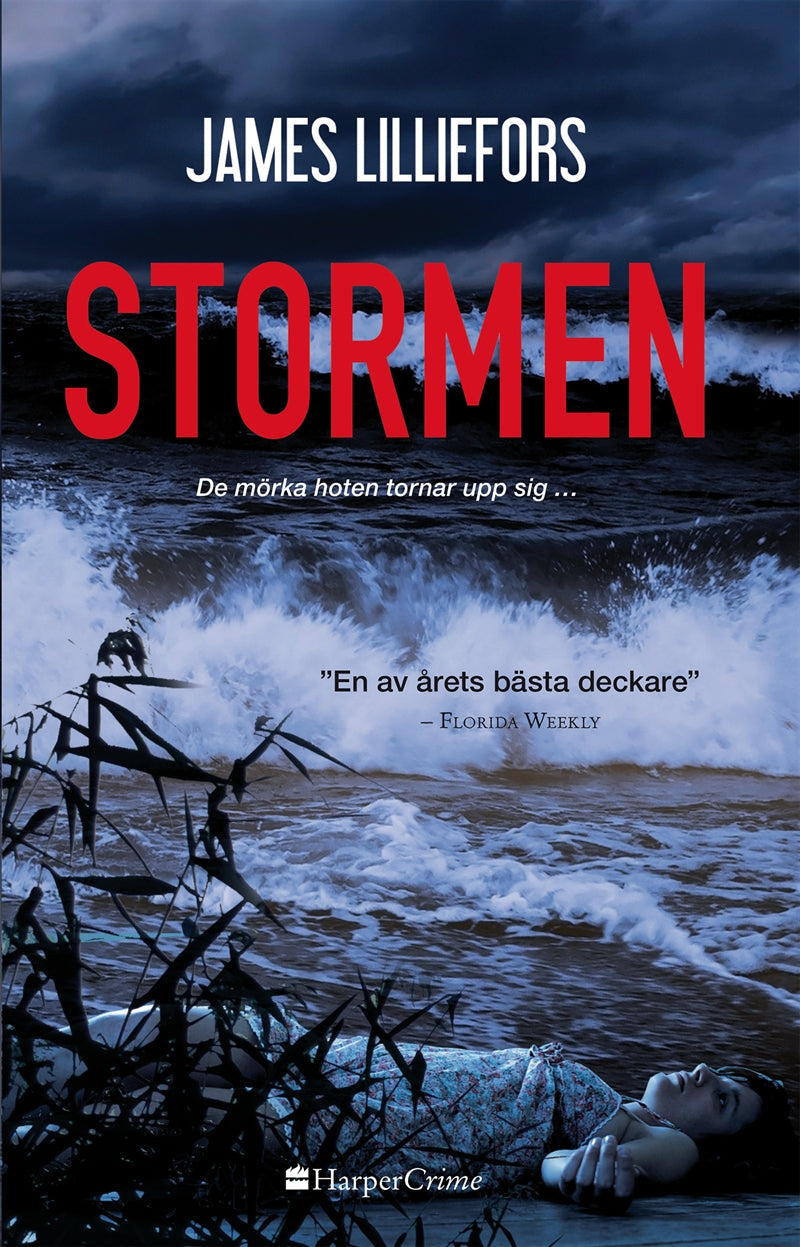 Stormen – E-bok
