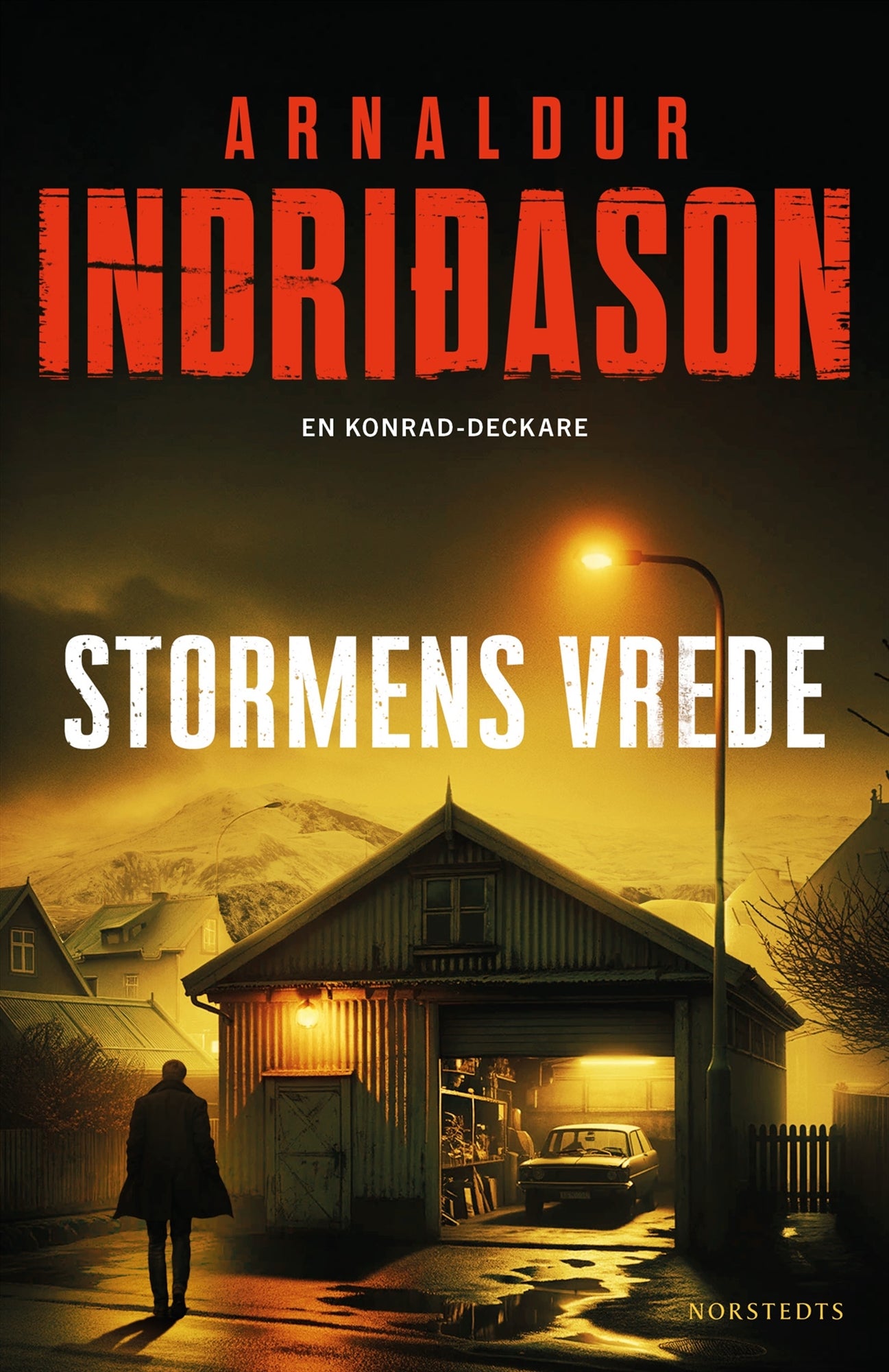 Stormens vrede – E-bok