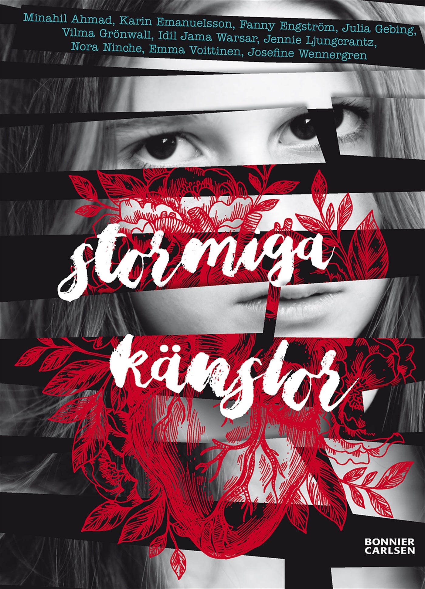 Stormiga känslor – E-bok