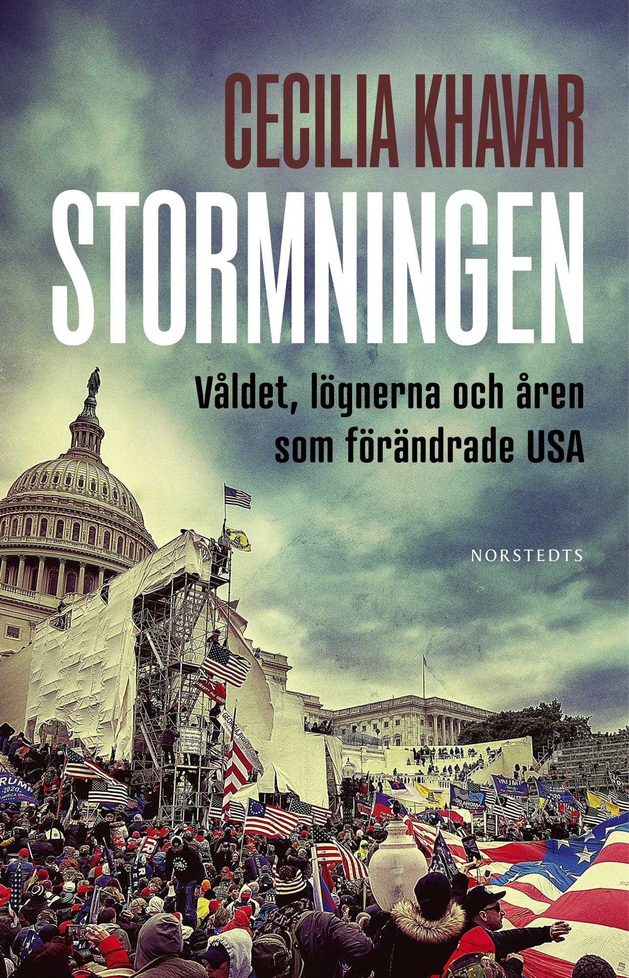 Stormningen : våldet, lögnerna och åren som förändrade USA – E-bok