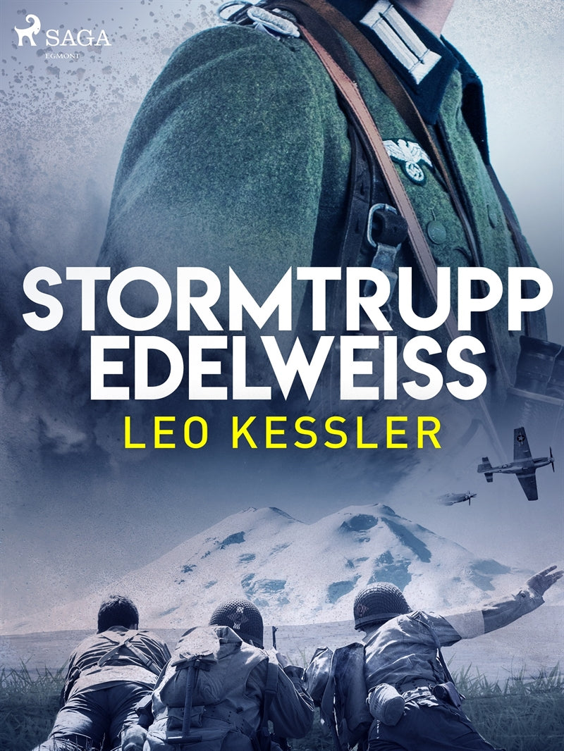 Stormtrupp Edelweiss – E-bok