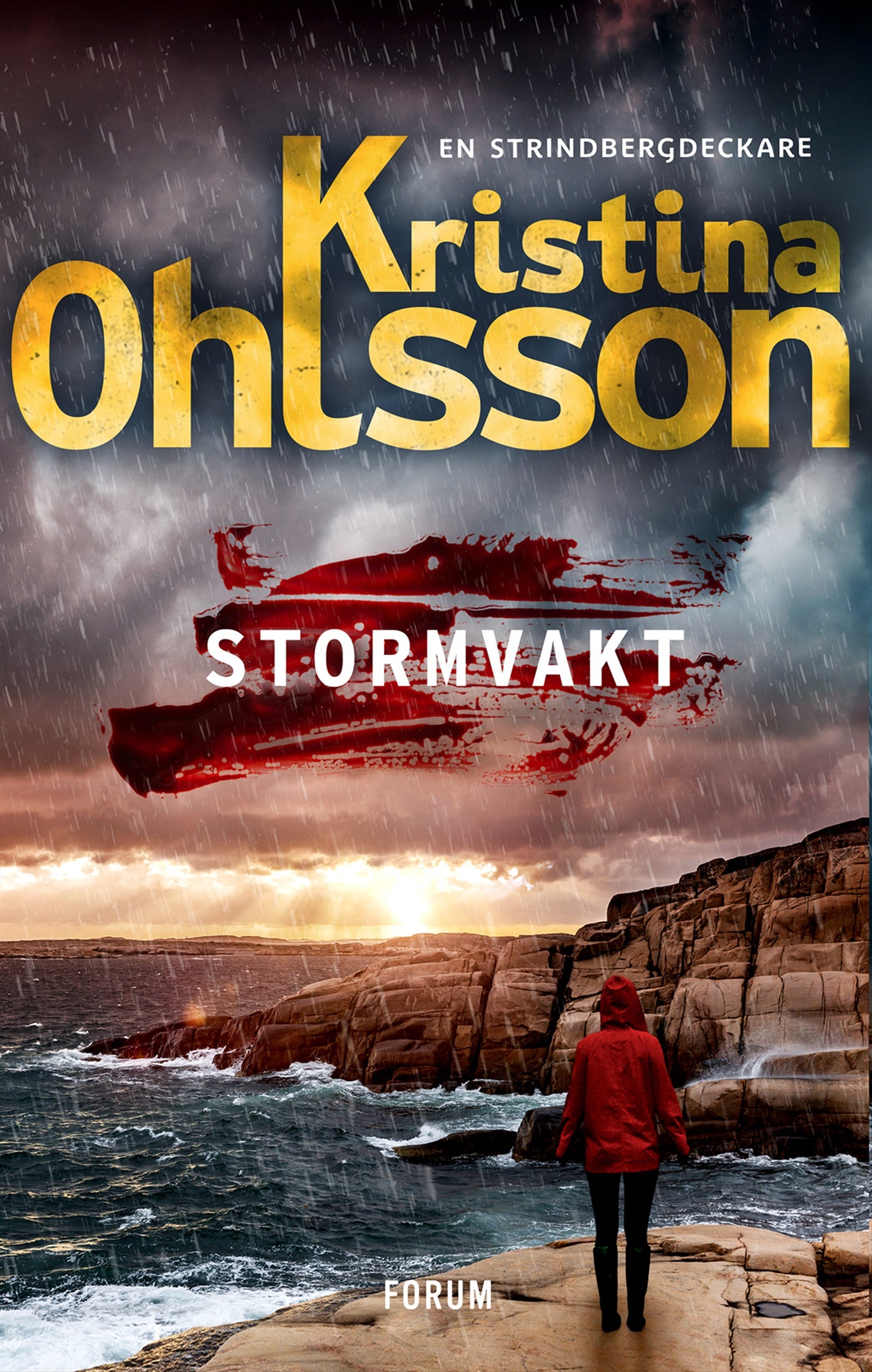Stormvakt – E-bok