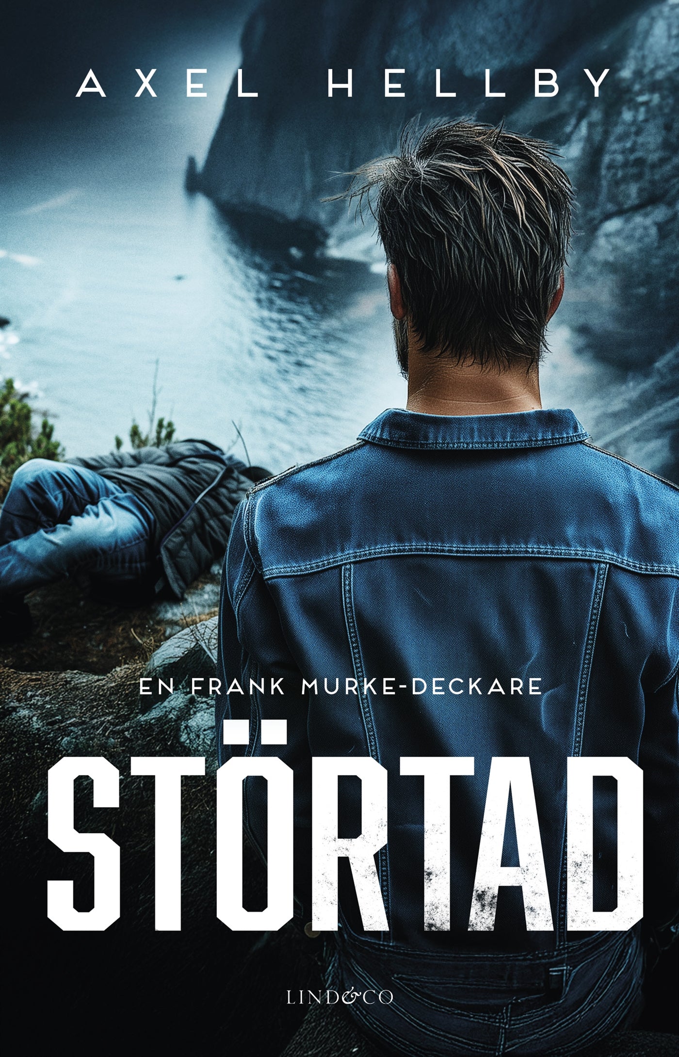Störtad – E-bok