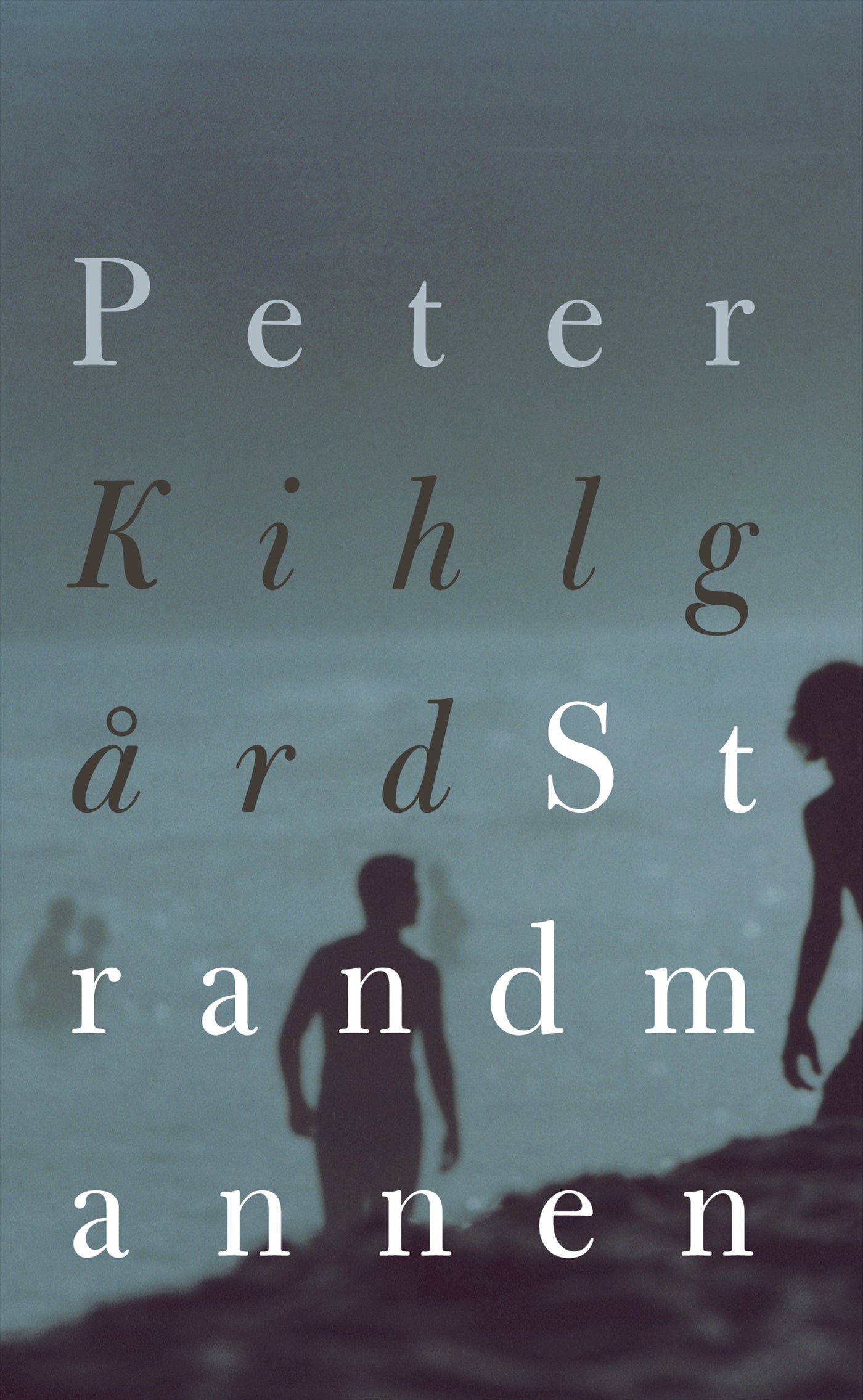 Strandmannen – E-bok