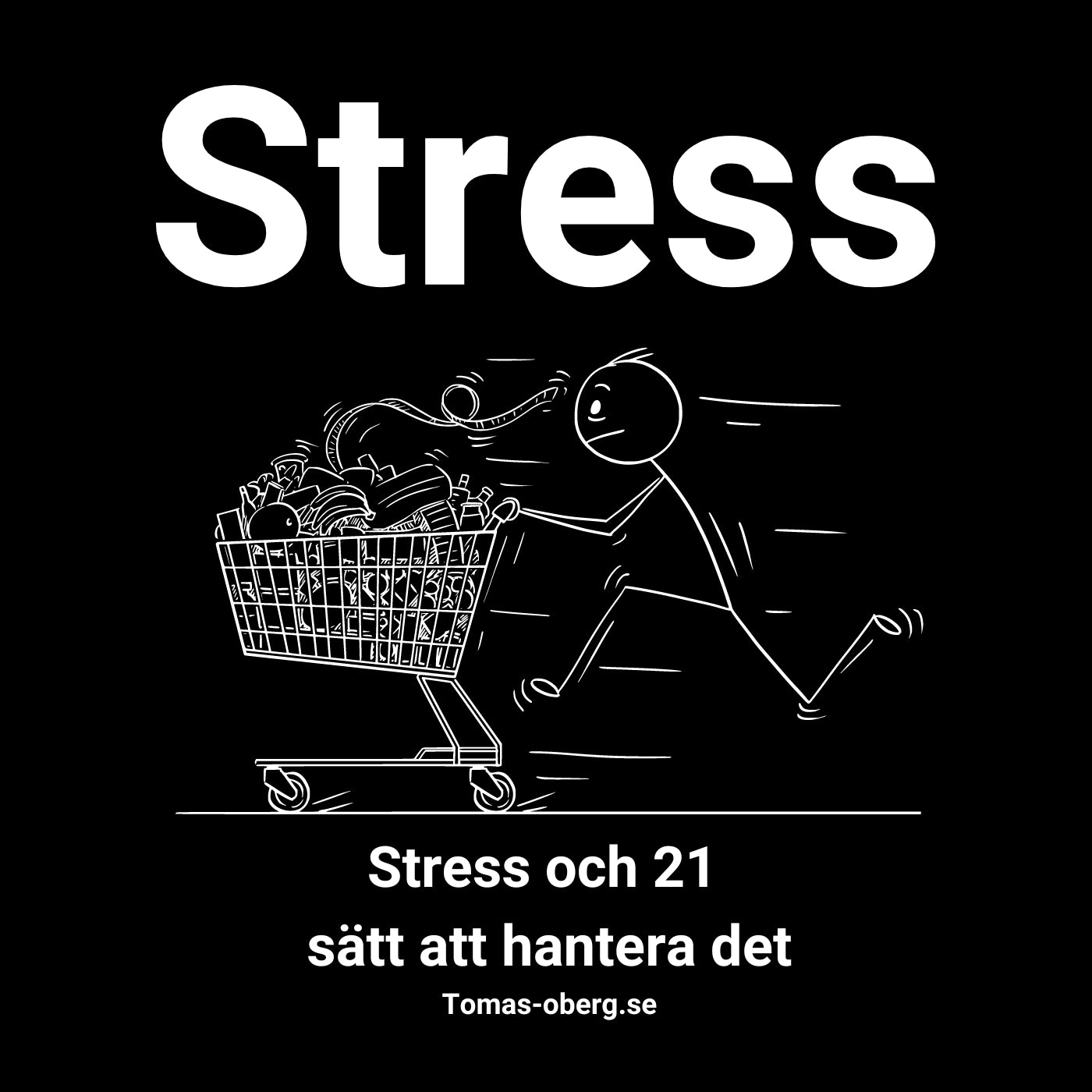 Stress och 21 sätt att hantera det – Ljudbok