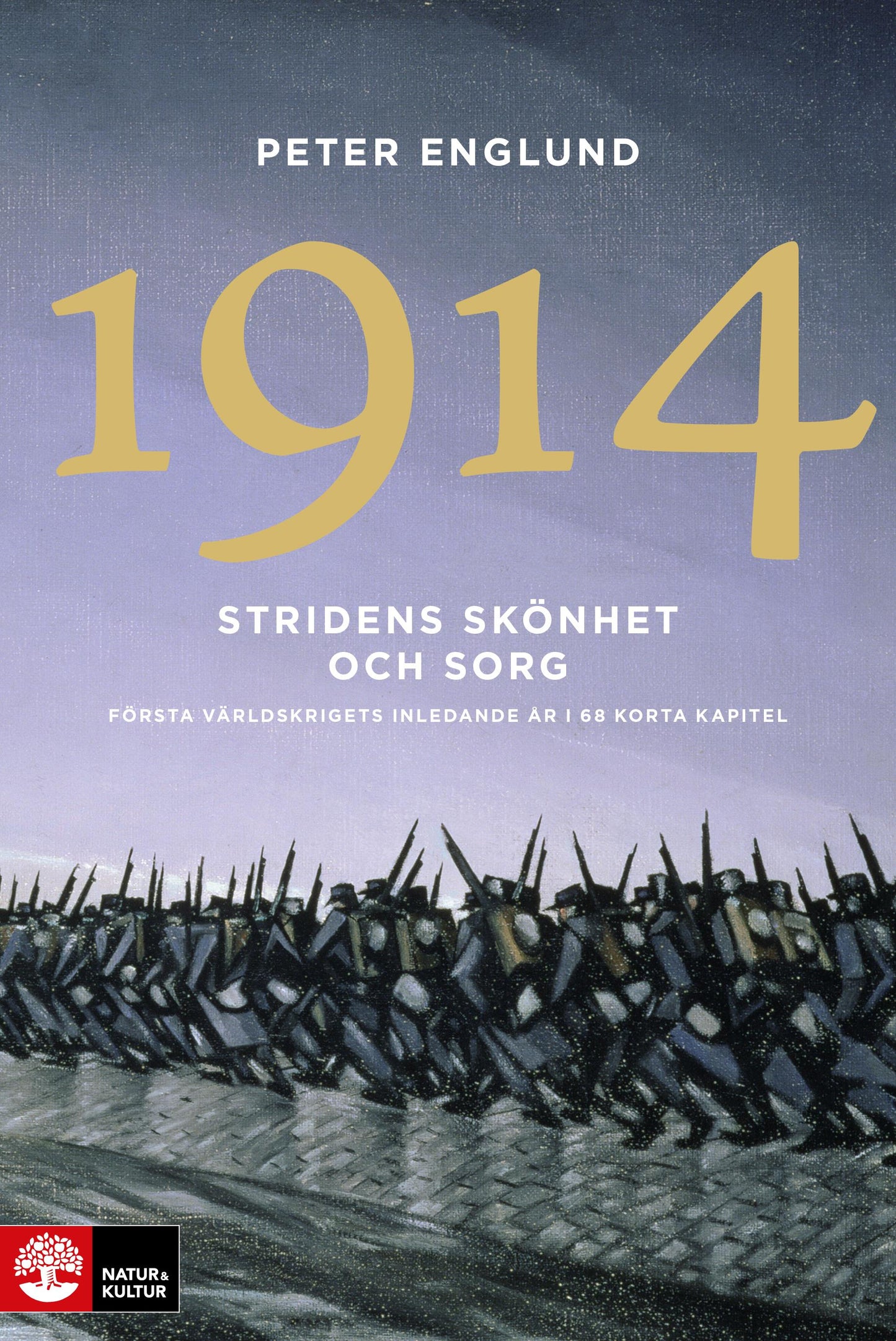 Stridens skönhet och sorg 1914 : första världskrigets första år i 106 korta kapitel – E-bok