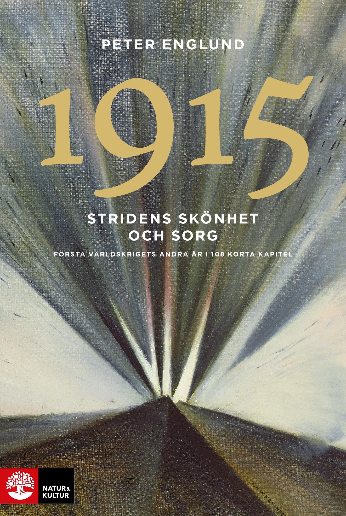 Stridens skönhet och sorg 1915 : första världskrigets andra år i 108 korta kapitel – E-bok