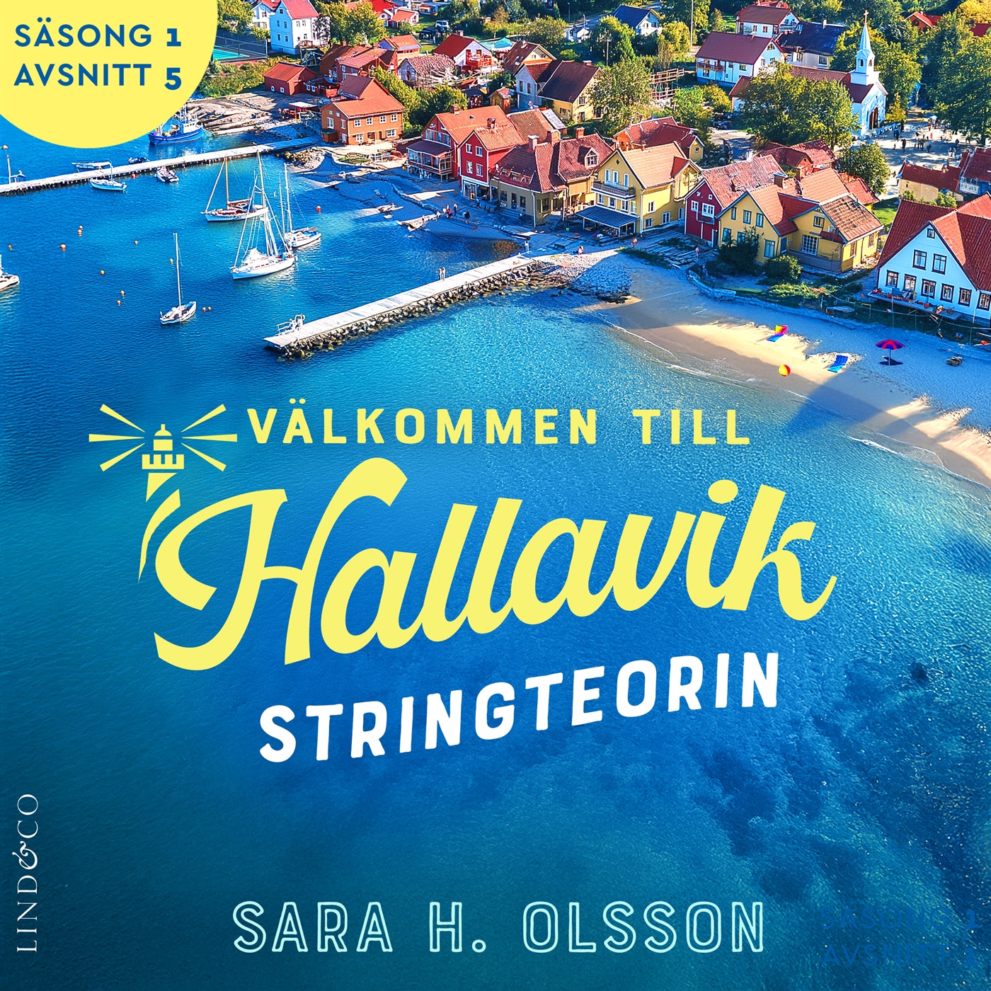 Stringteorin (S1E5 Välkommen till Hallavik) – Ljudbok
